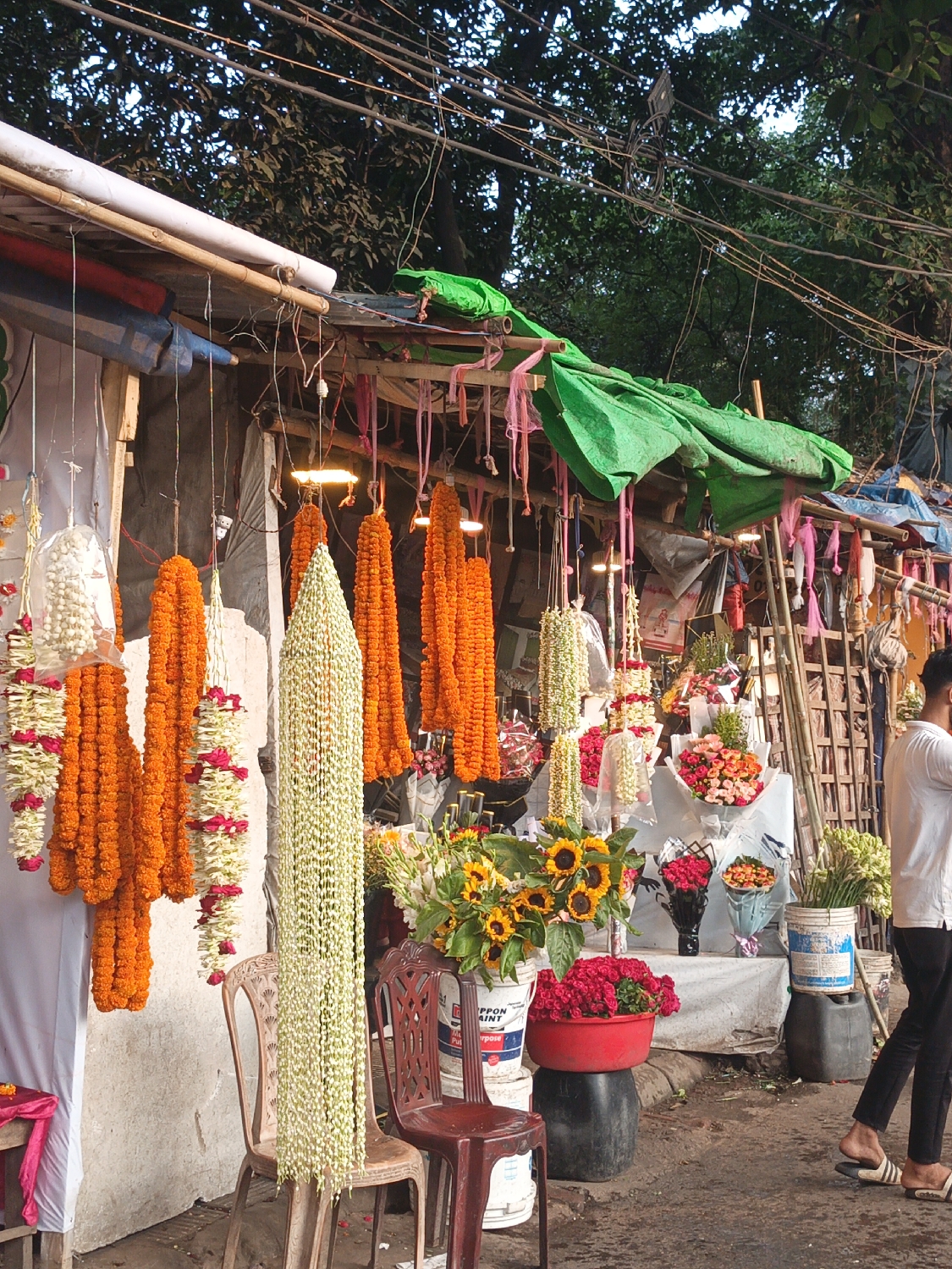 Flower vendor tends colorful outdoor stall in Dhaka