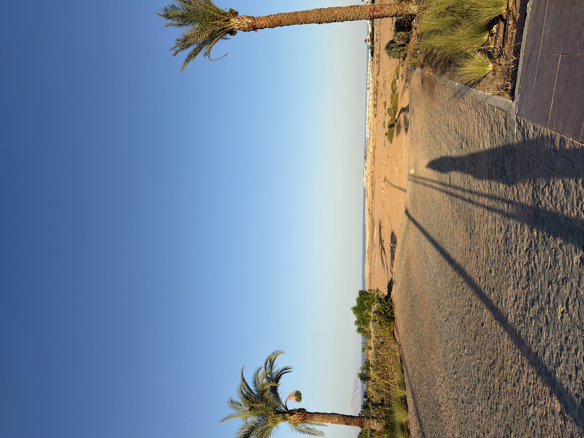 Walking tour of Sharm El Sheikh's sculptural promenade and landmarks