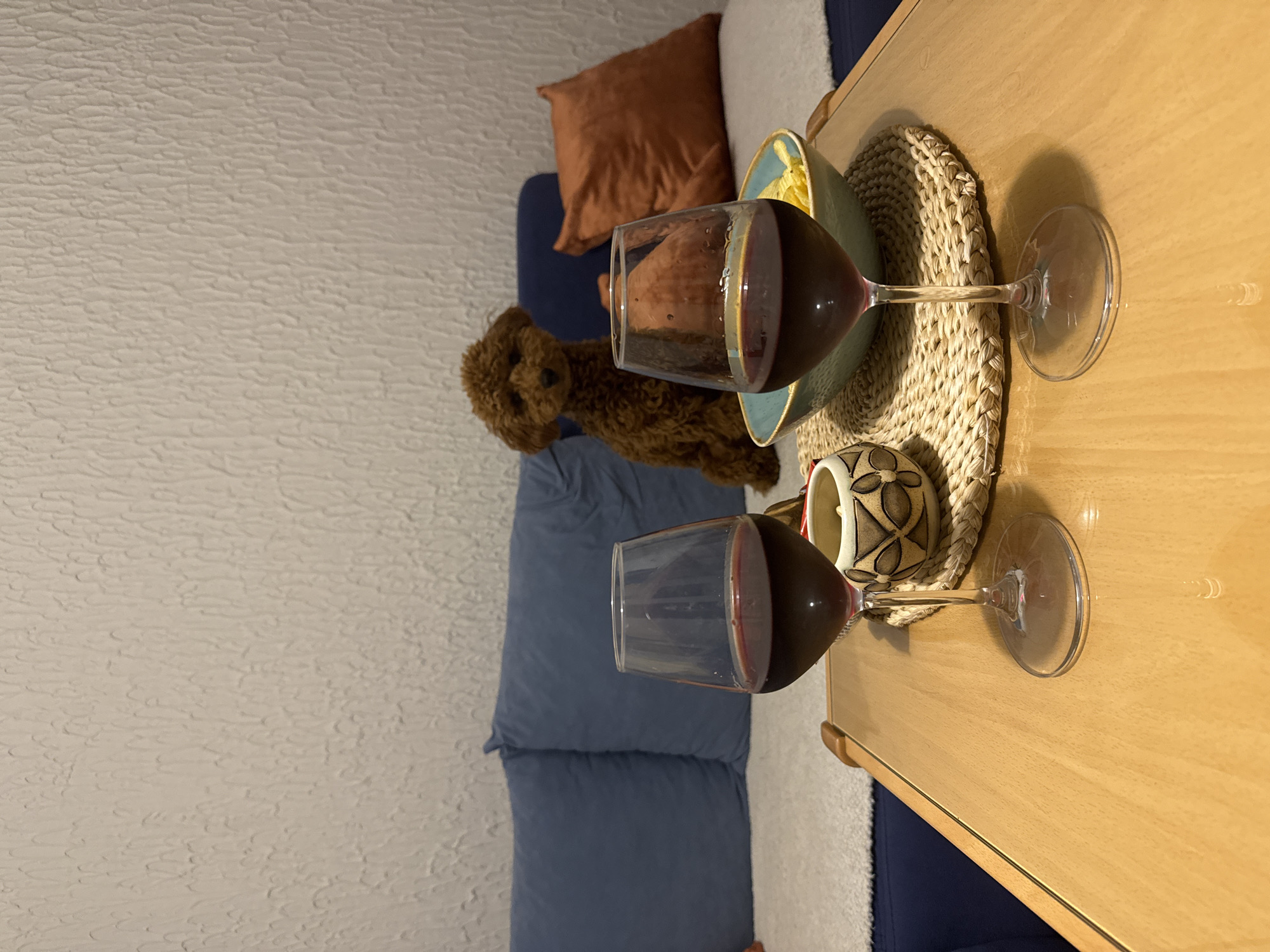 Red wine shared in Miljevci home evening scene