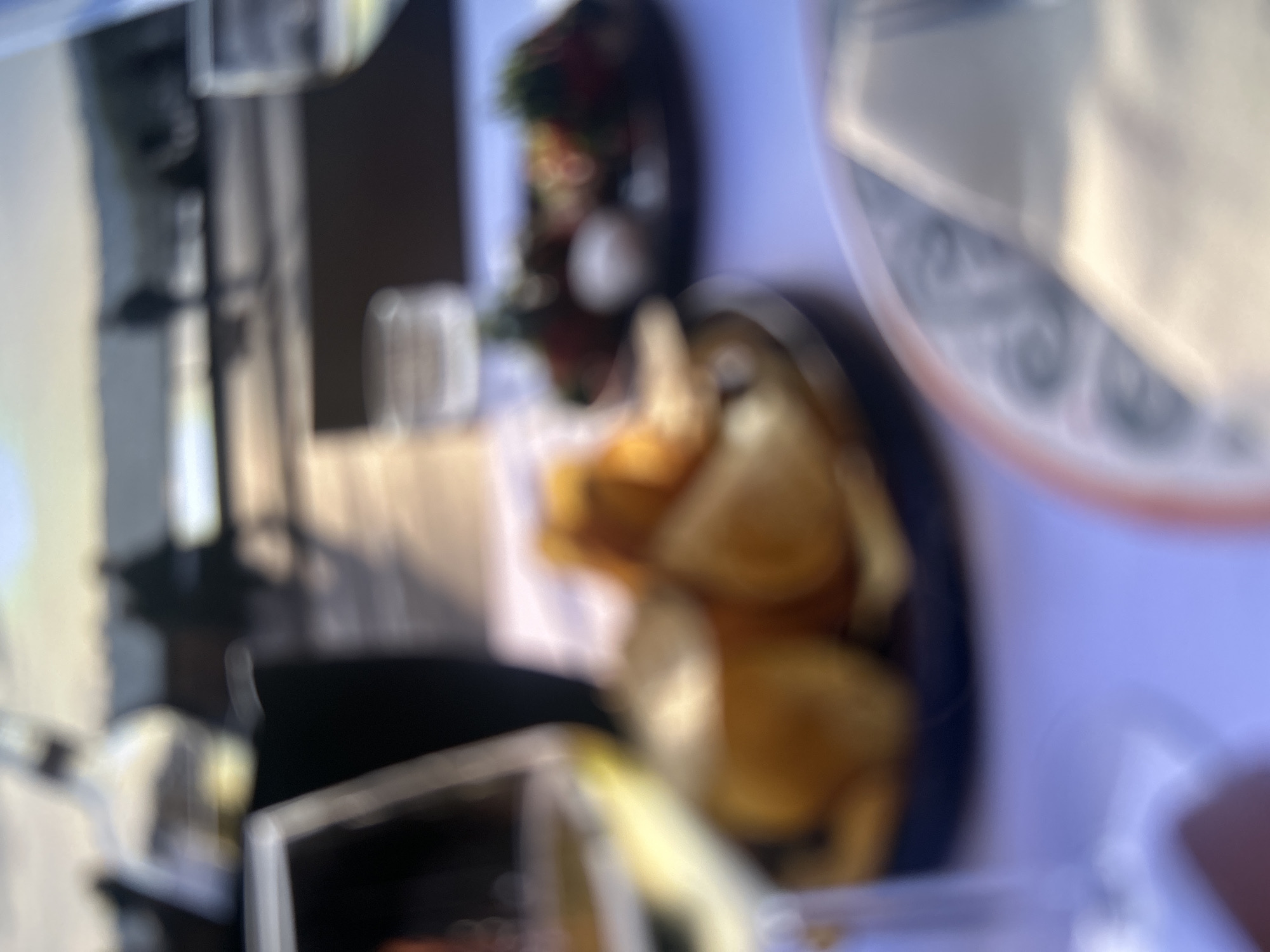 Fragmented domestic scenes captured in Zwickau evening hours