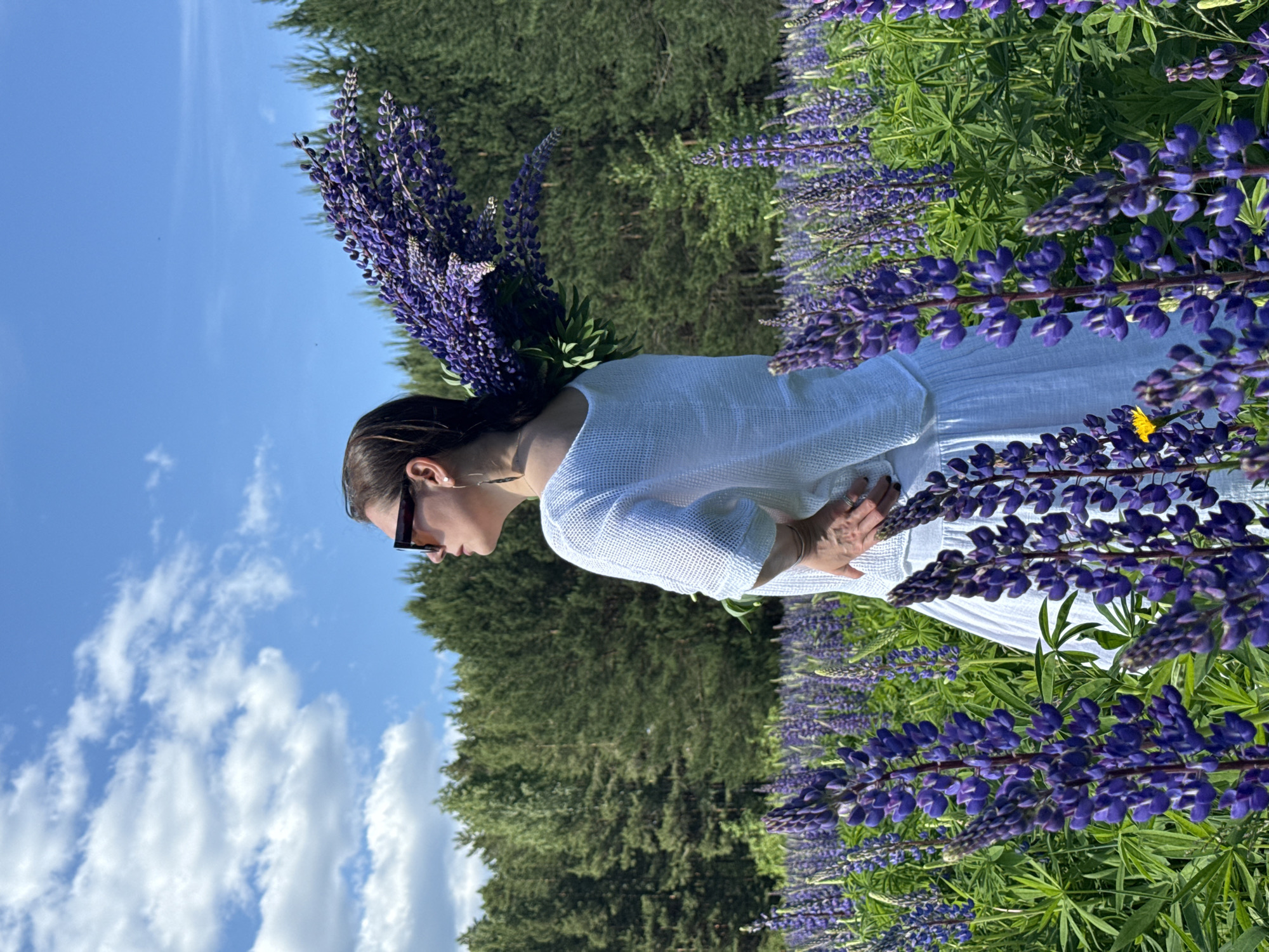 Woman photographed in lupine fields, forest paths near Chaikovsky