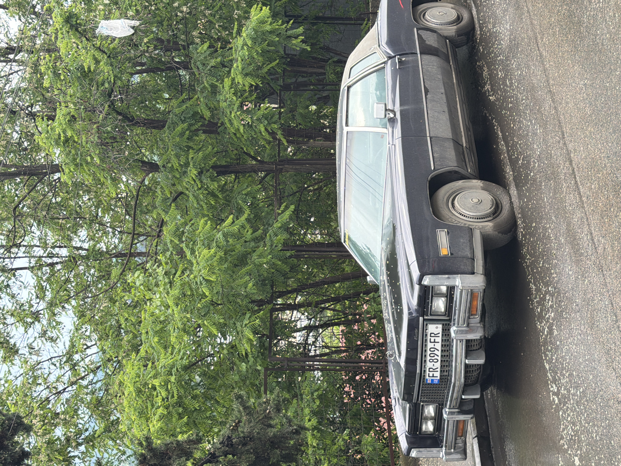 Classic Cadillac spotted parked on wet Tbilisi street