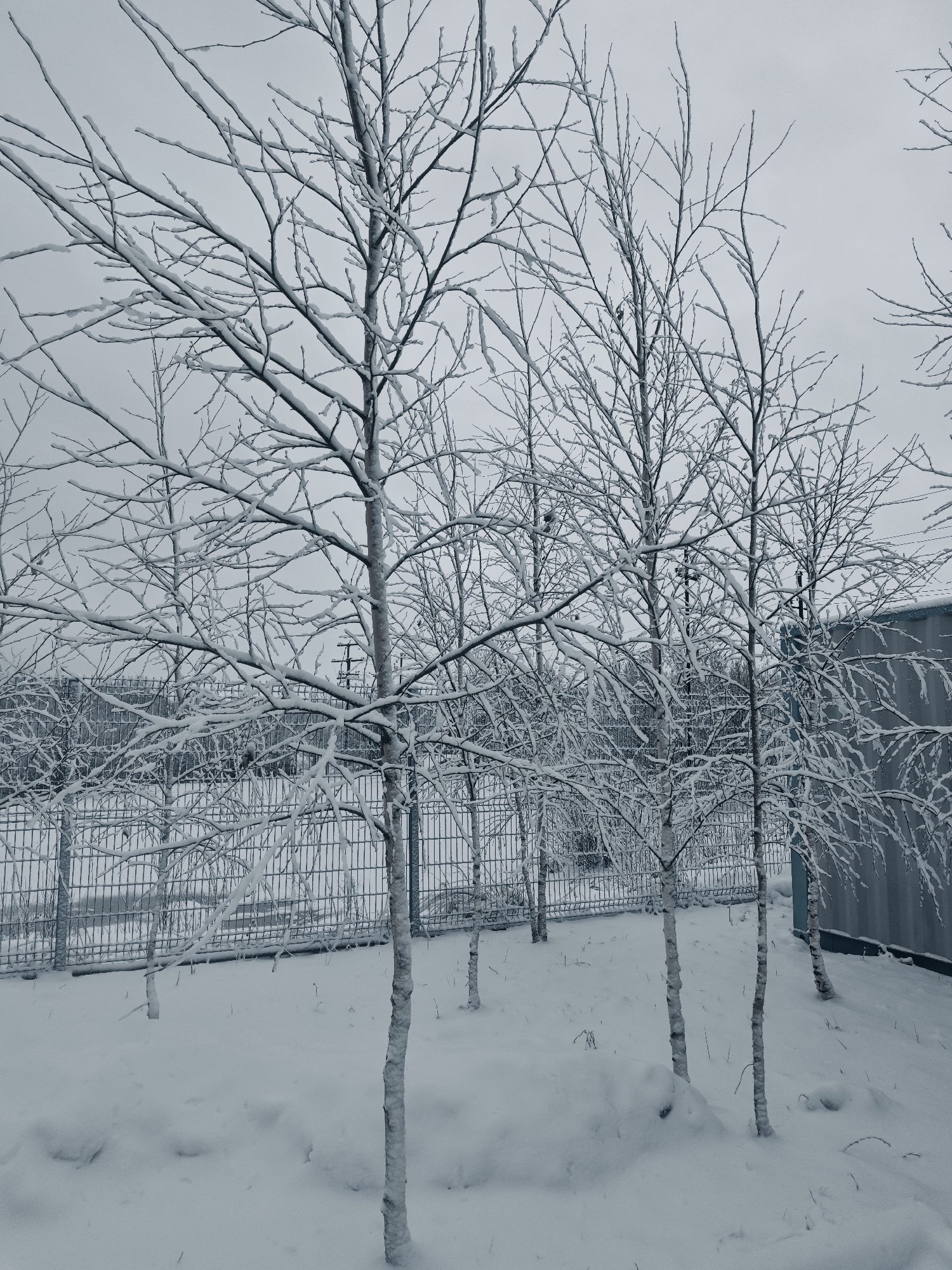 Gazprom worker spotted amid fresh snowfall in Russian city