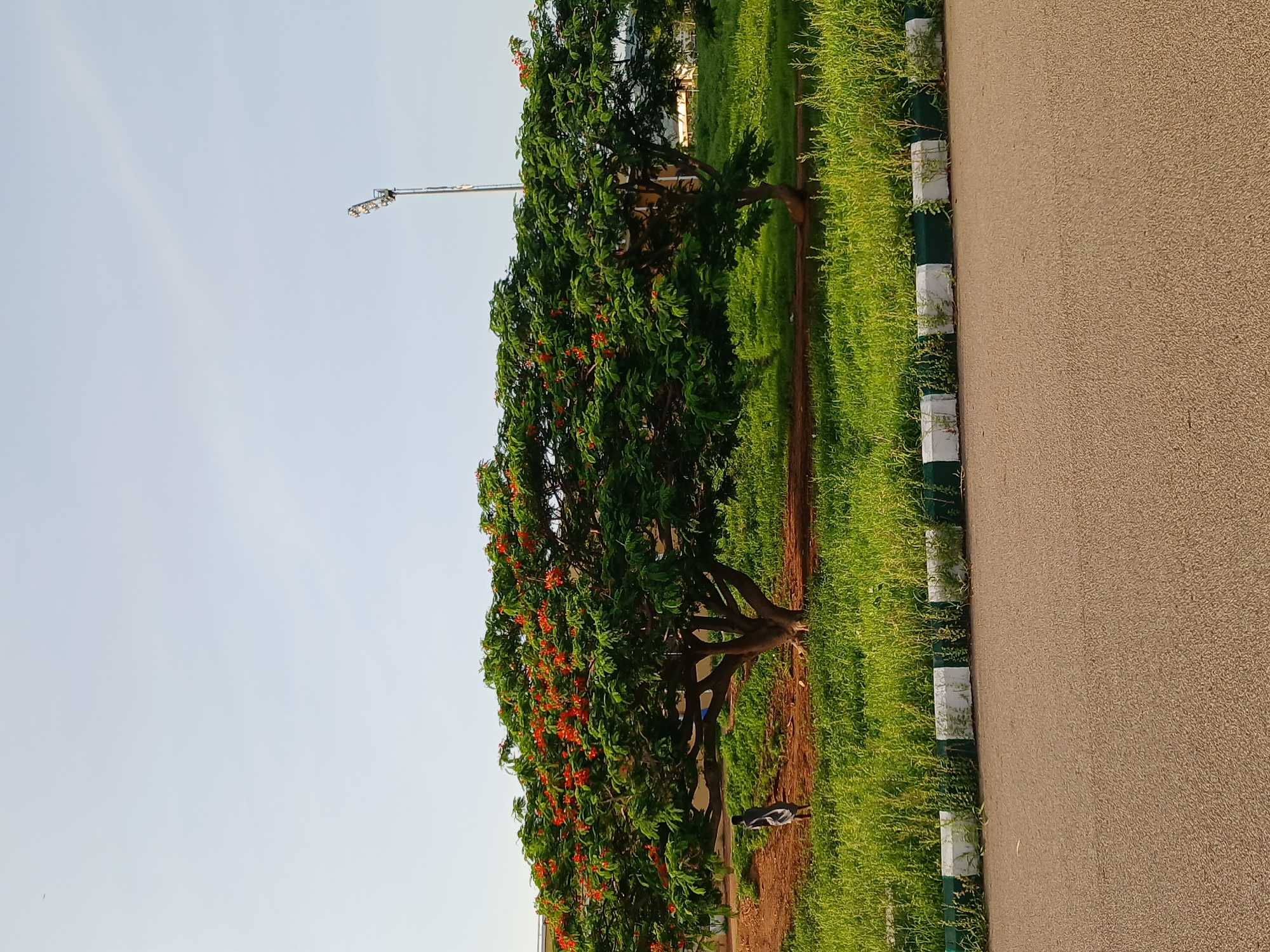 Ordinary afternoon moments documented across Jalingo, Nigeria