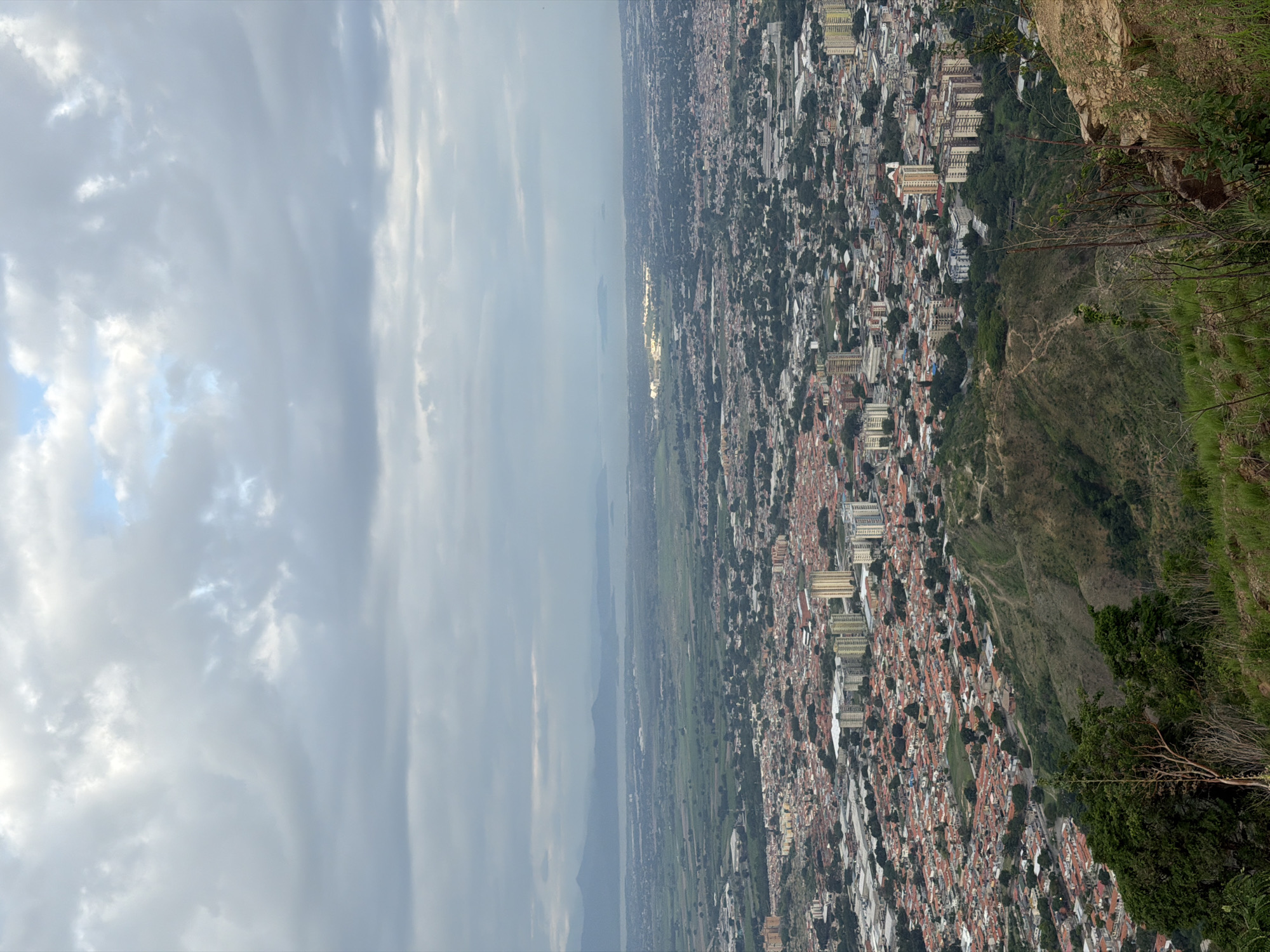 Butterfly and city views documented from Venezuela hillside
