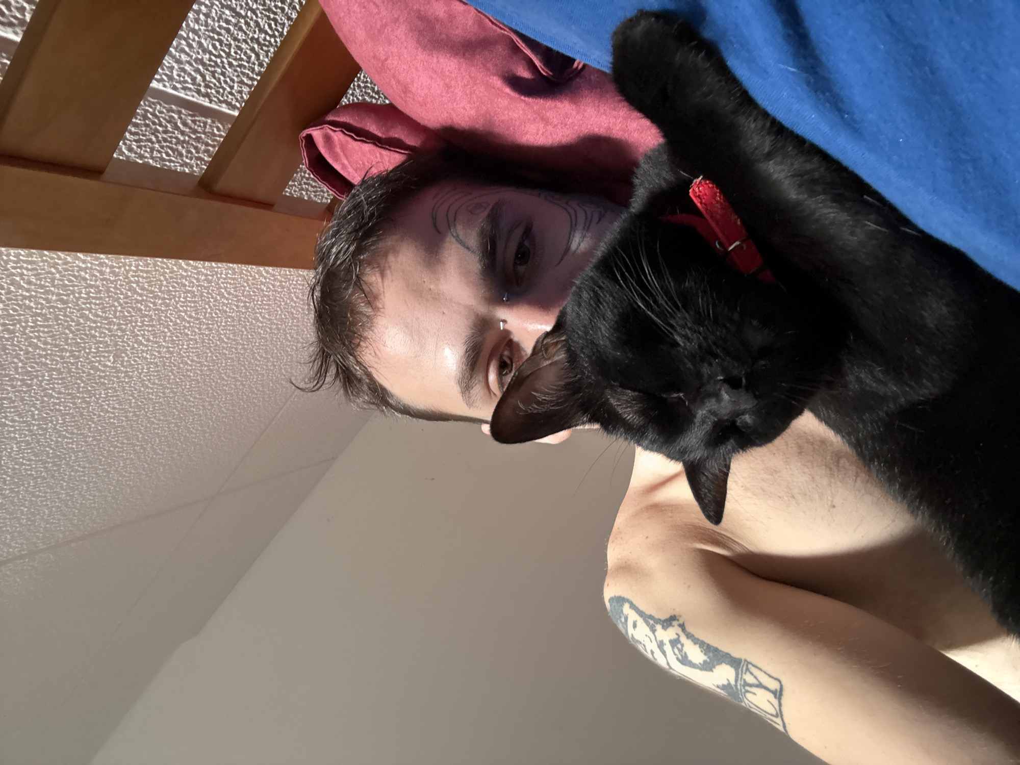 Man rests in bed with black cat in Cordoba