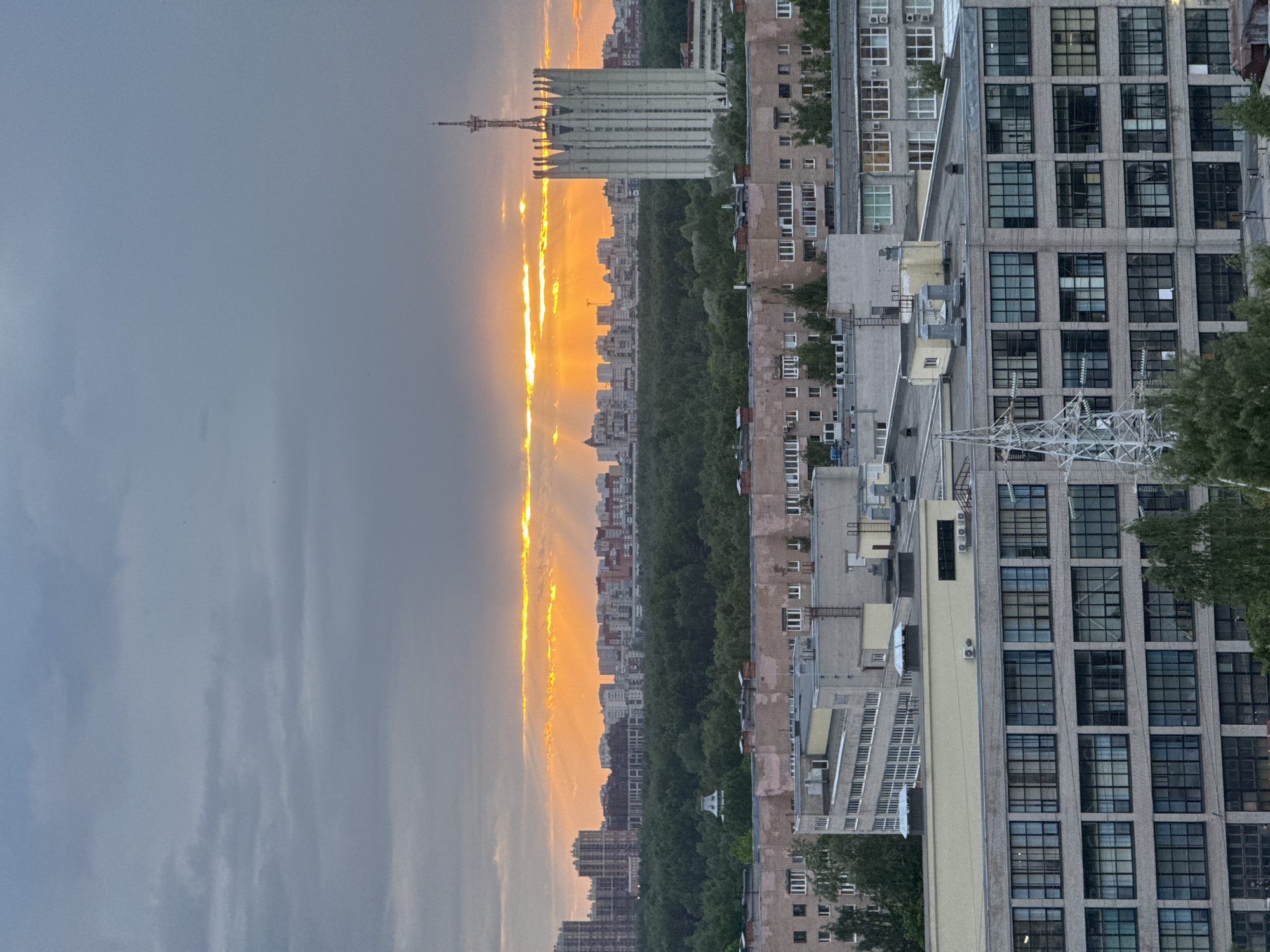 Urban wildlife spotted on building windowsills during city sunset