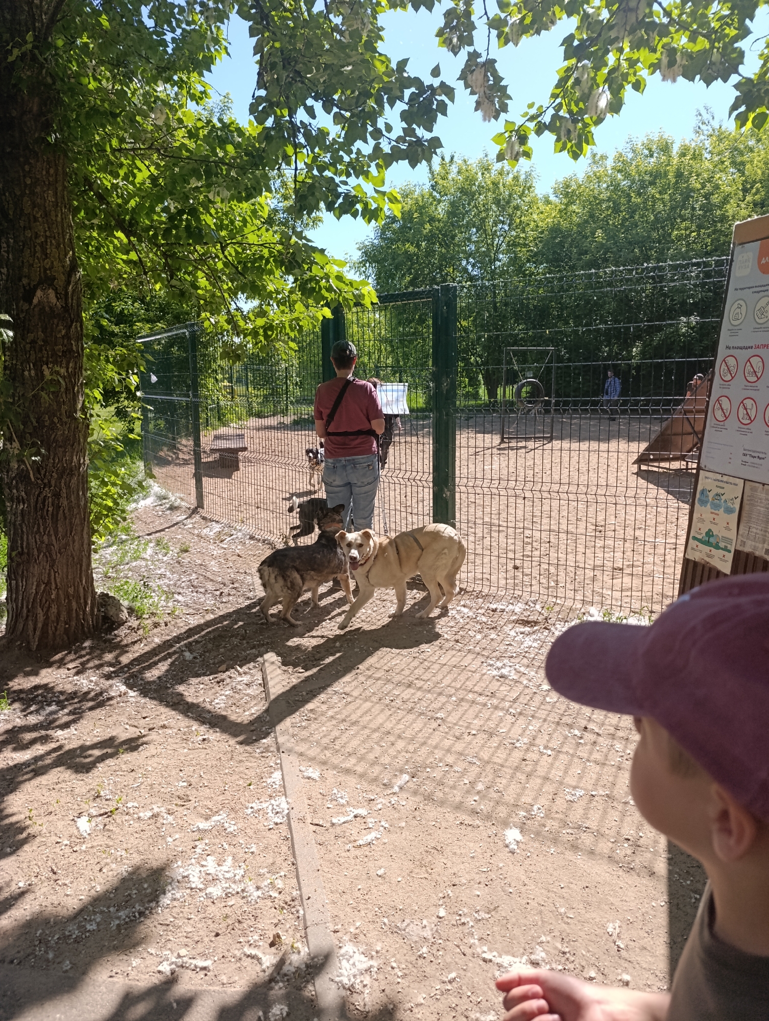Person documents sunny walk through Moscow parks, finds shell