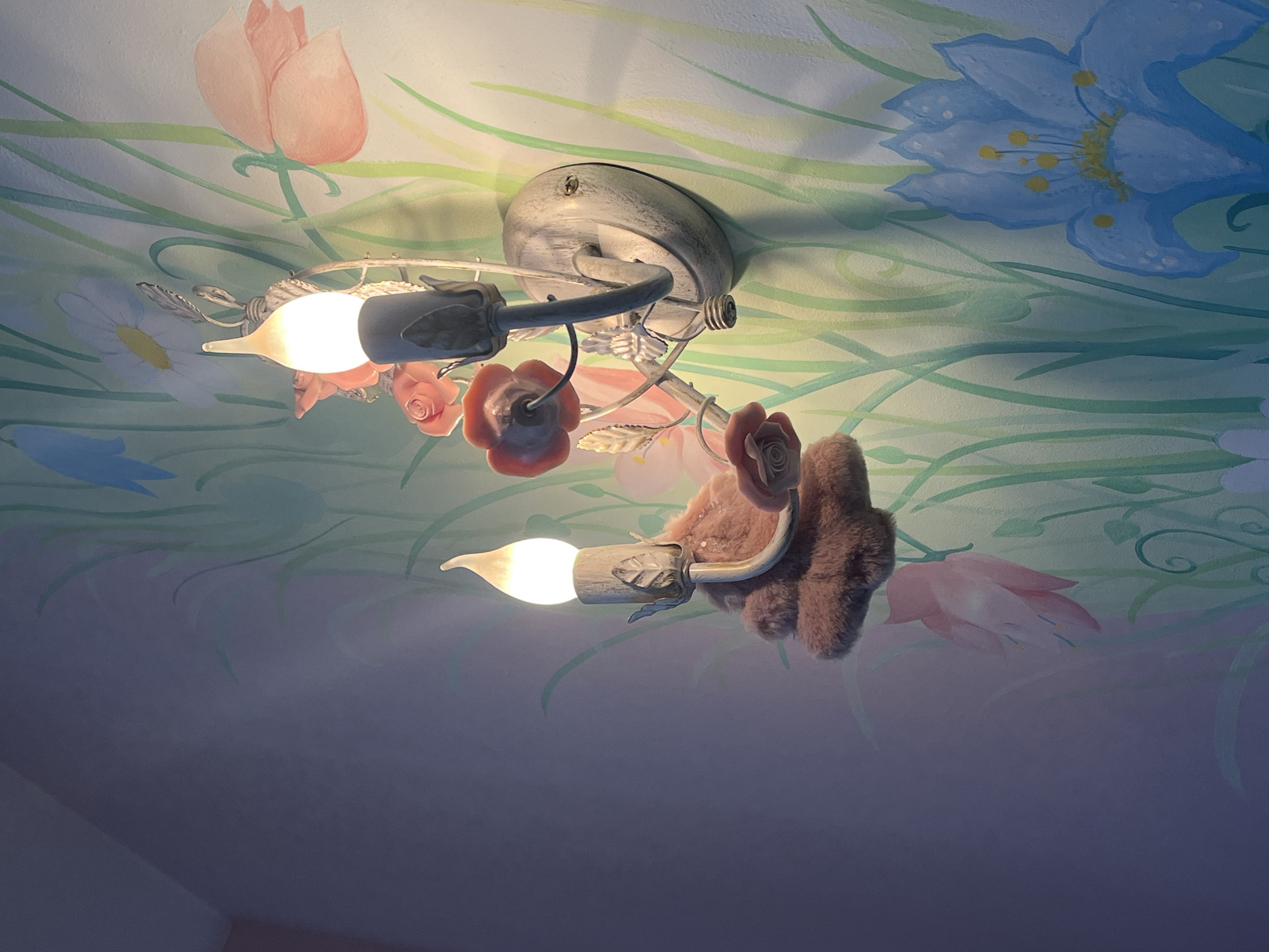 Indoor scenes captured: decorative lighting, perfume bottle, window view
