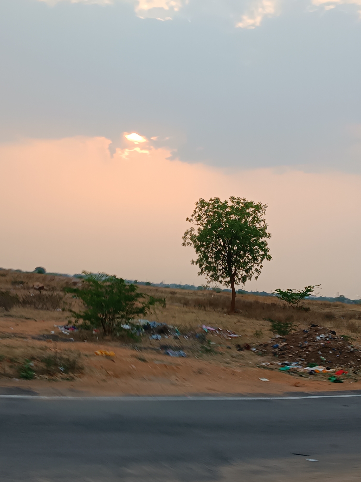 Littered landscape documented along roadside in Potlamarri, India