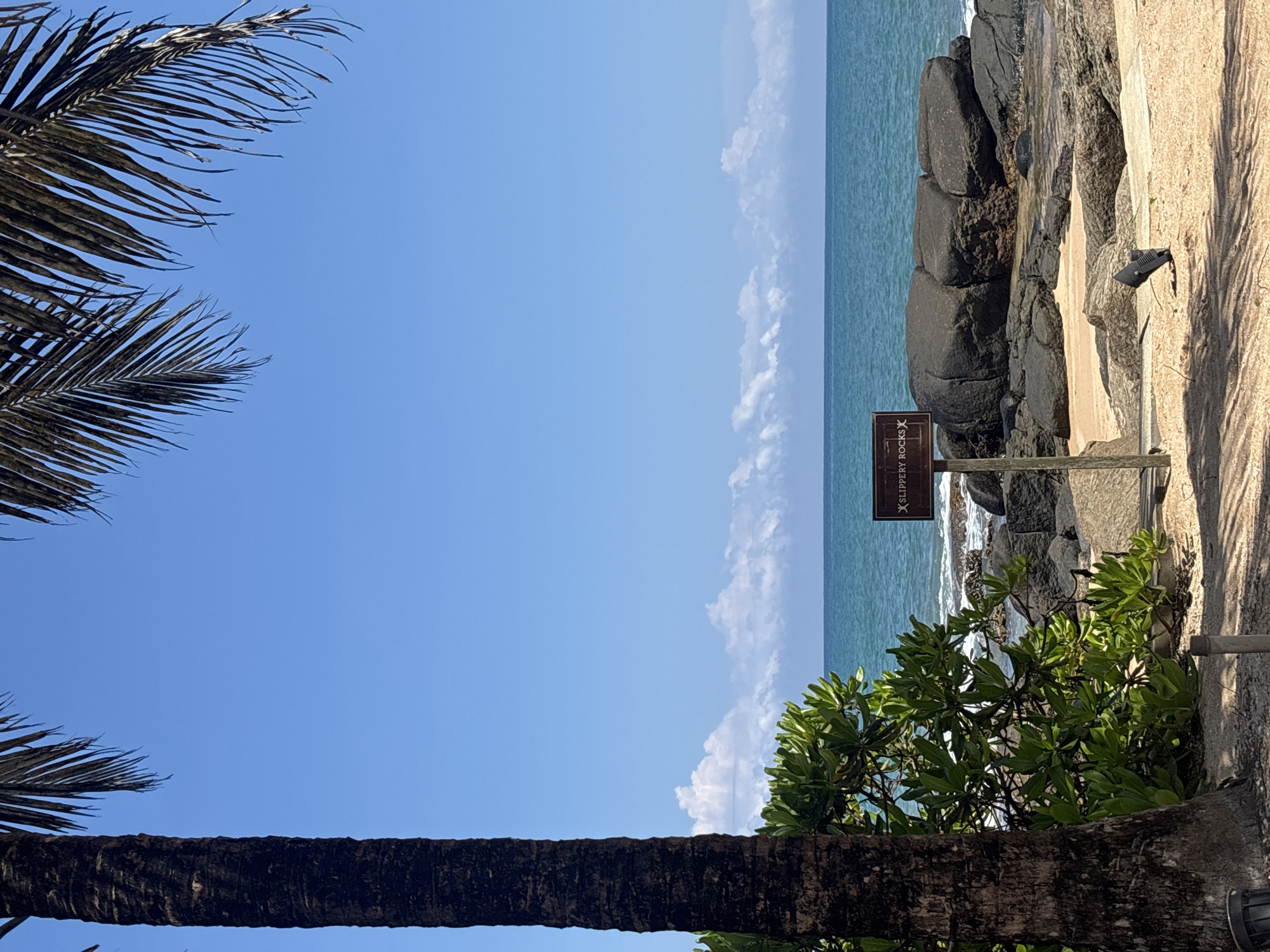 Morning tropical views captured in Ahungalla, Sri Lanka