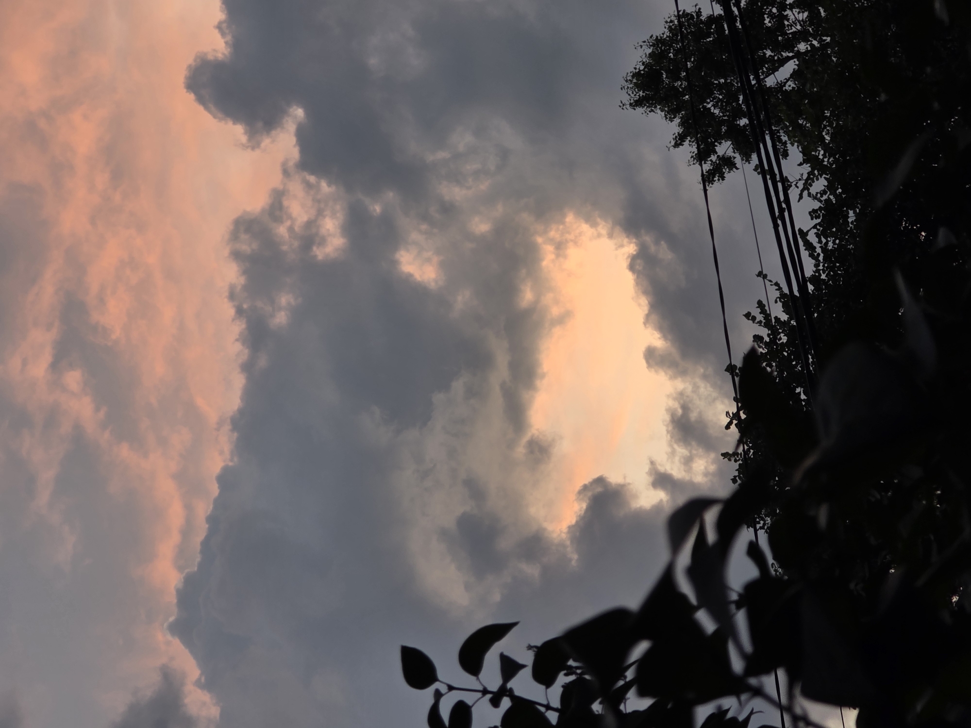 Summer evening in Chaikovsky: dusk sky and garden flowers in bloom