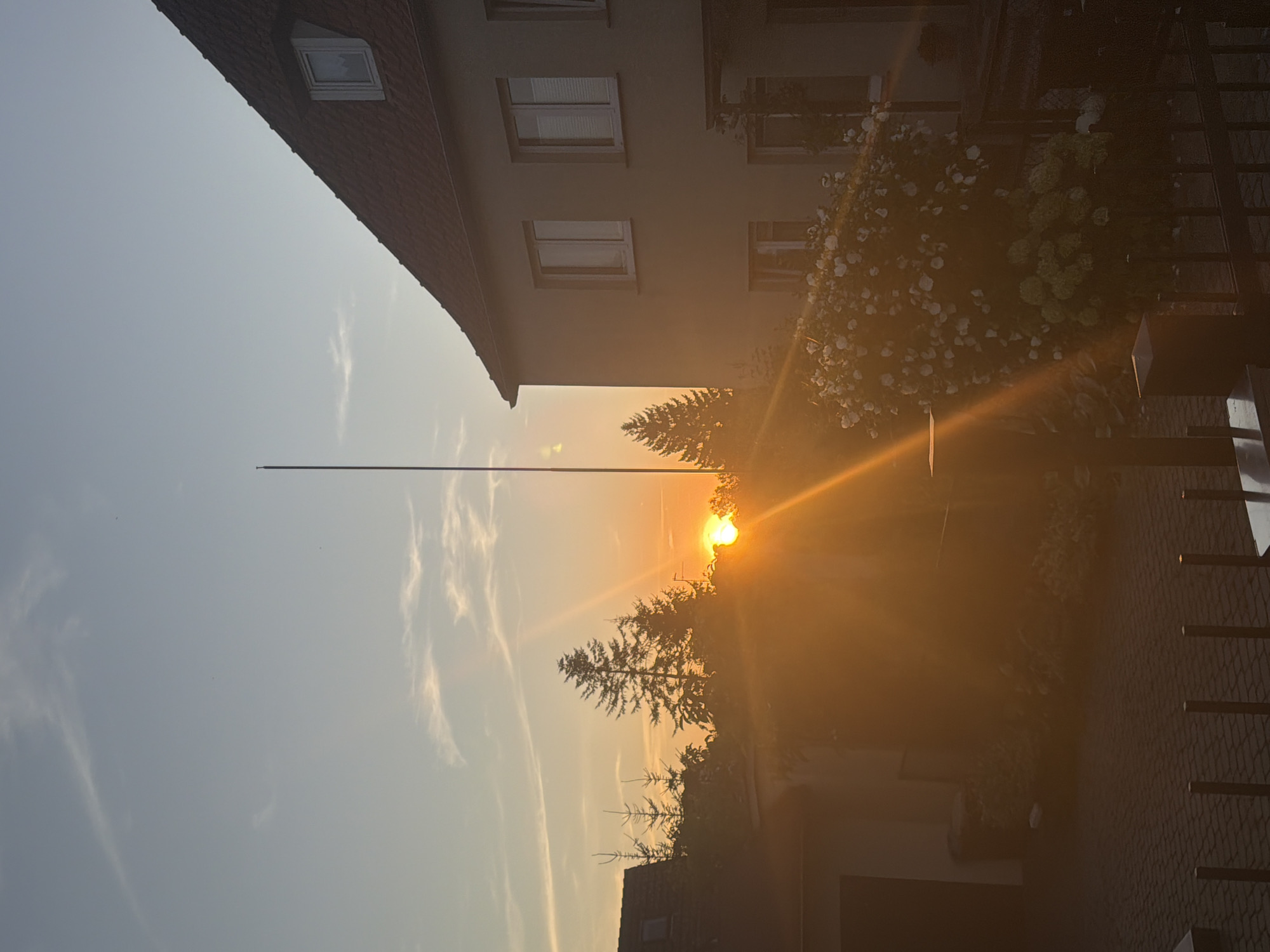 Crow on a garage roof at sunset in Szczecin