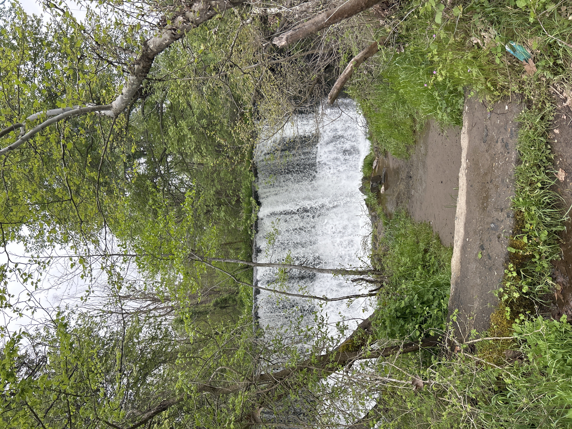 Walking tour documented in Parvenets Bulgaria captures waterfalls and rural scenes