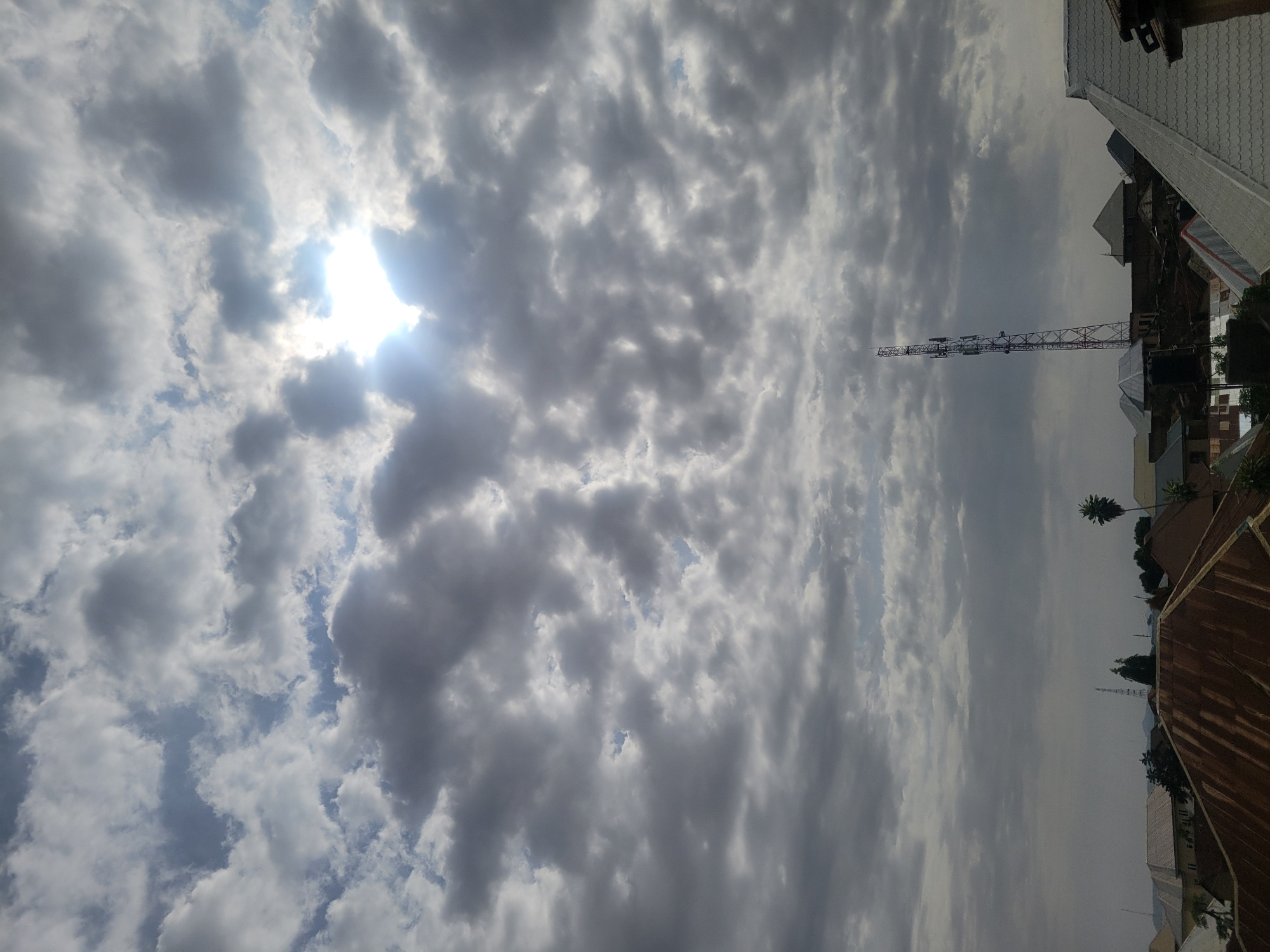 Cat spotted on concrete surface in Jos under cloudy skies