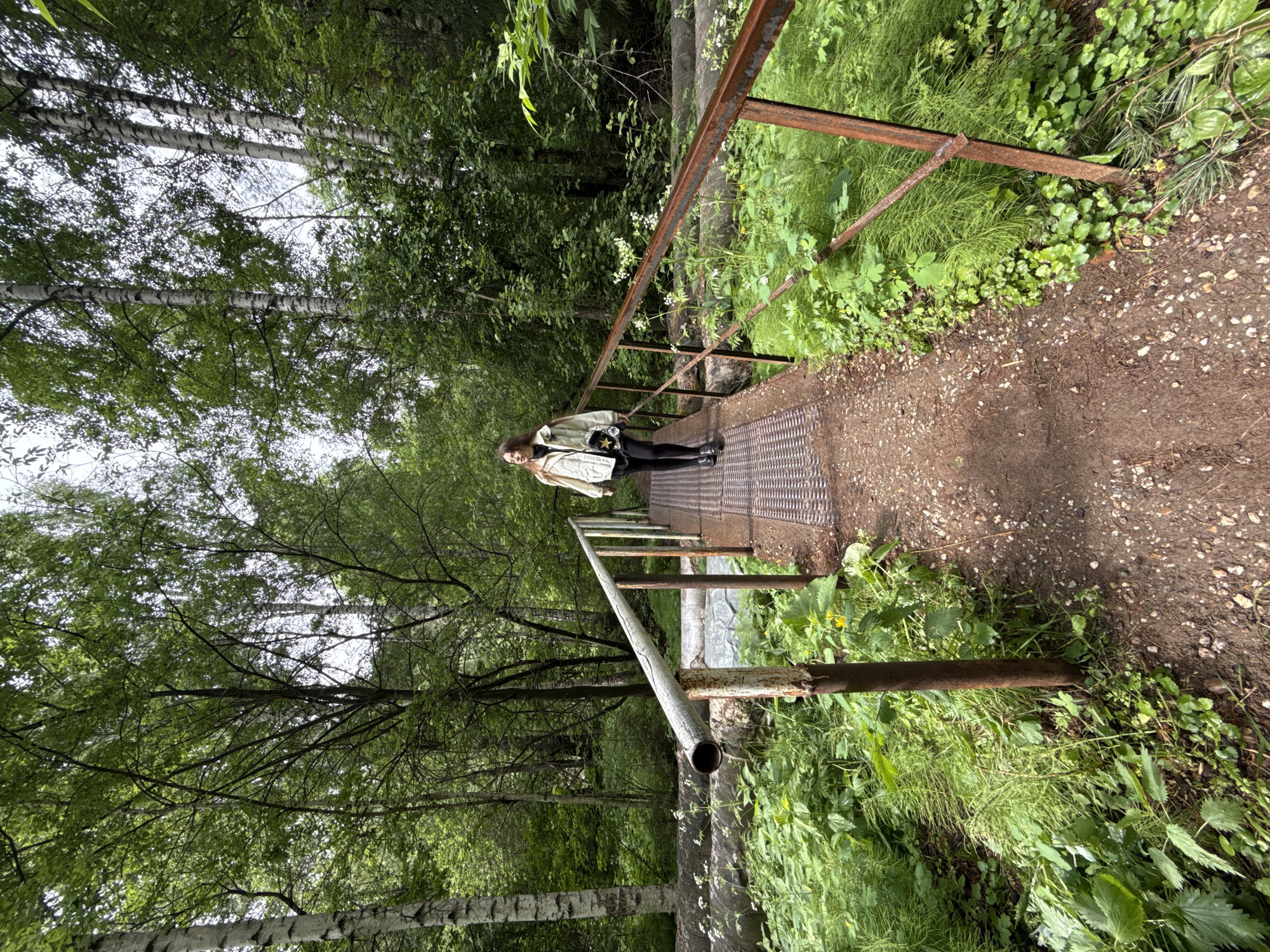 Nature reclaims abandoned infrastructure in Chaikovsky woodland area