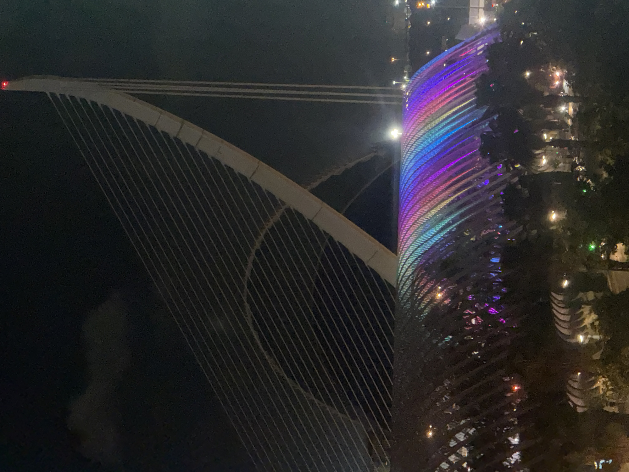Nighttime gathering documented at Valencia's City of Arts and Sciences