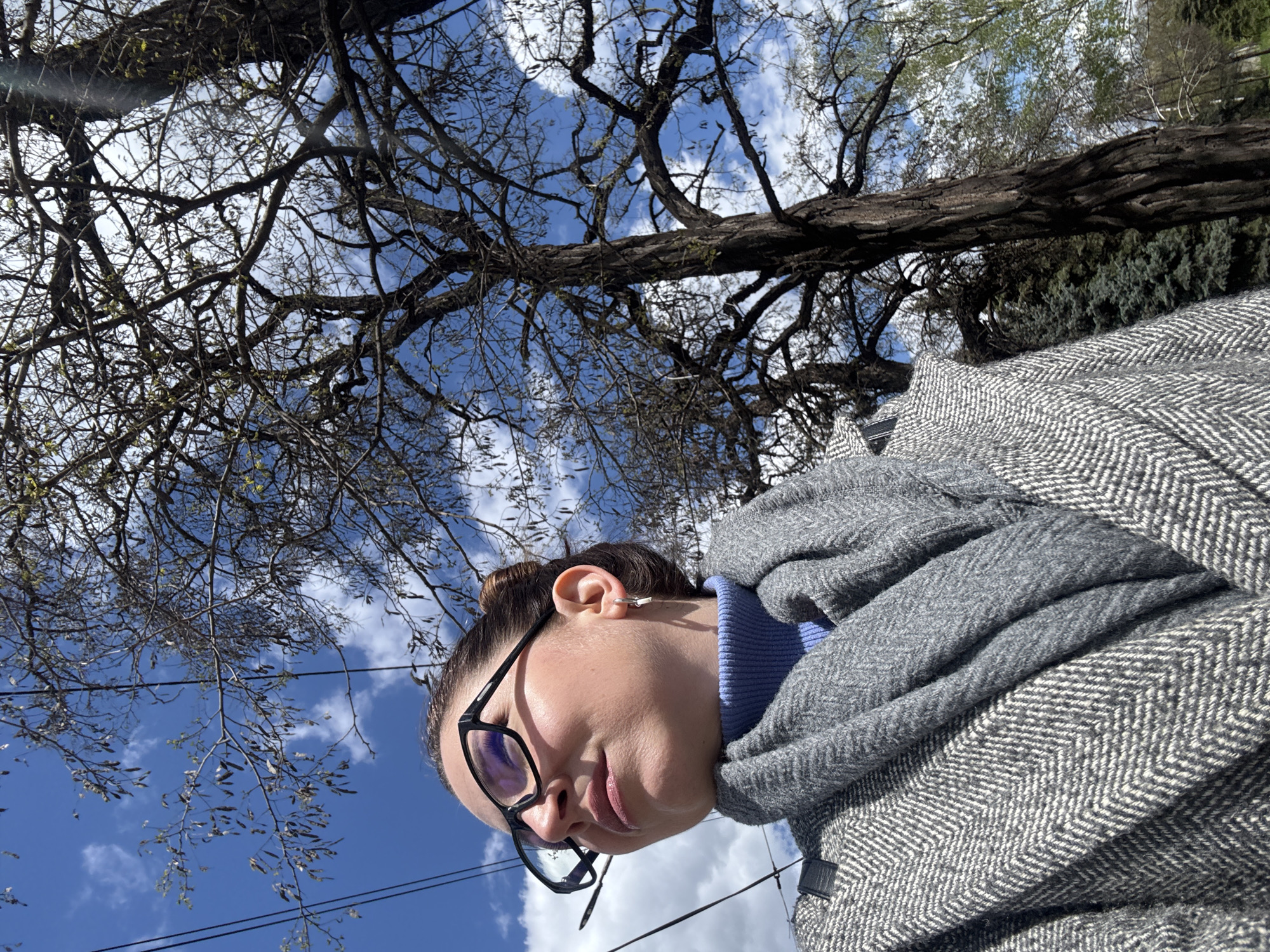 Person spotted looking at bare tree in Kryvyi Rih
