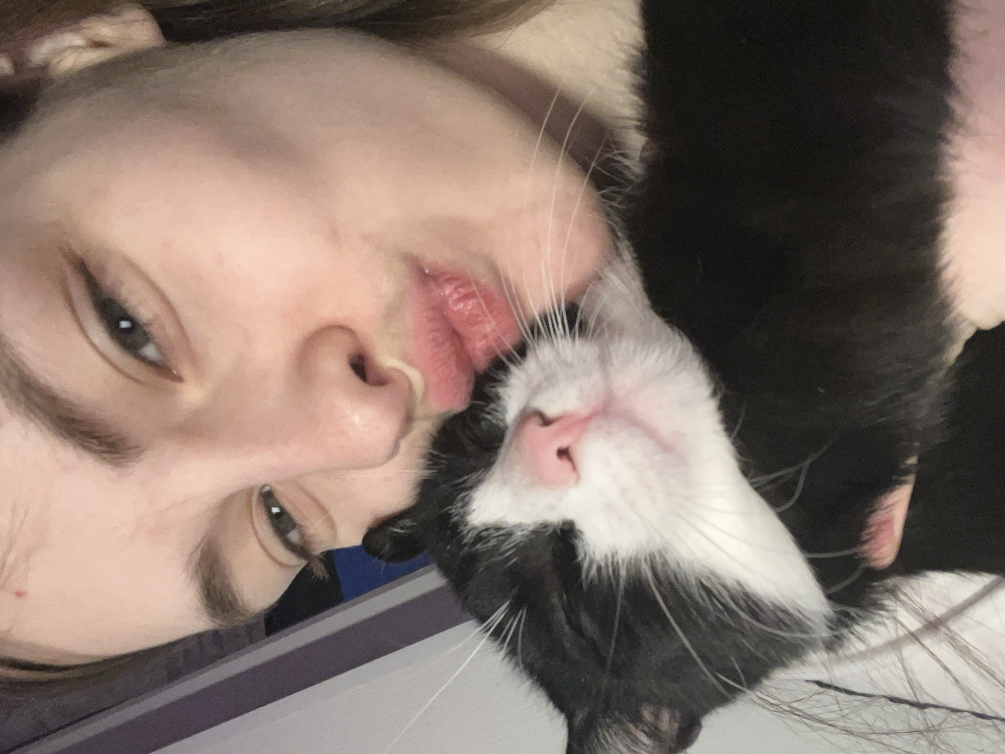 Person shares intimate moments with black and white cat