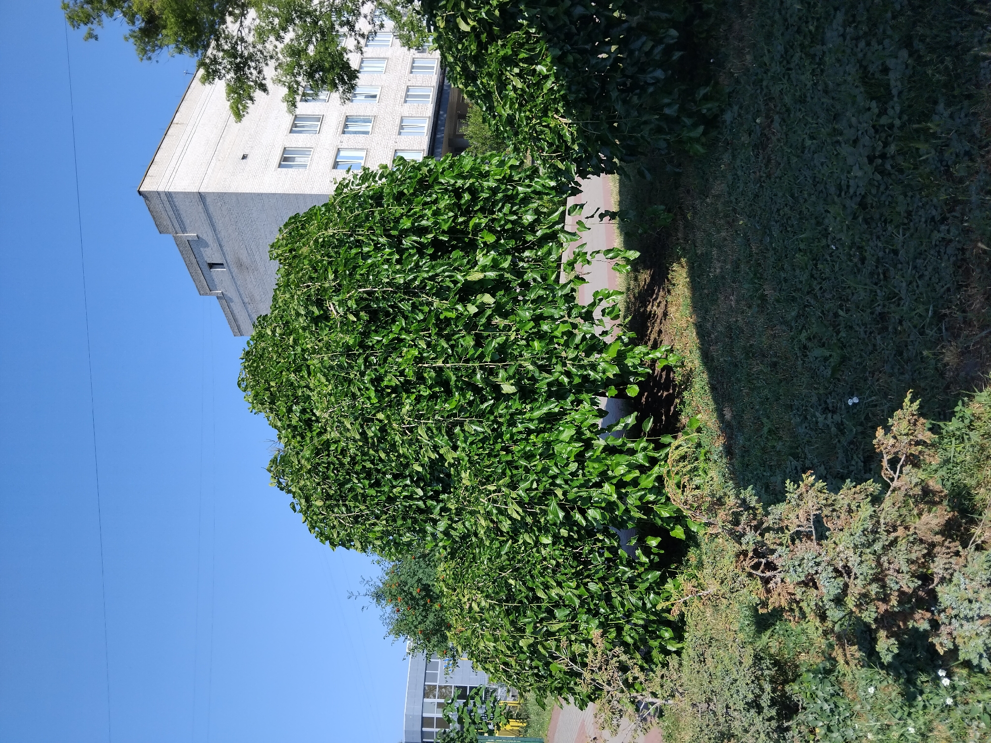 Zhytomyr, Ukraine