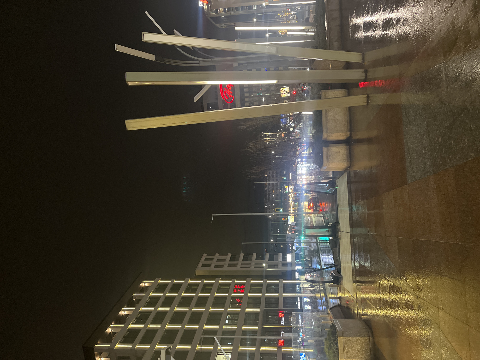 Evening scenes from Sofia: wet streets, dining, and shopping