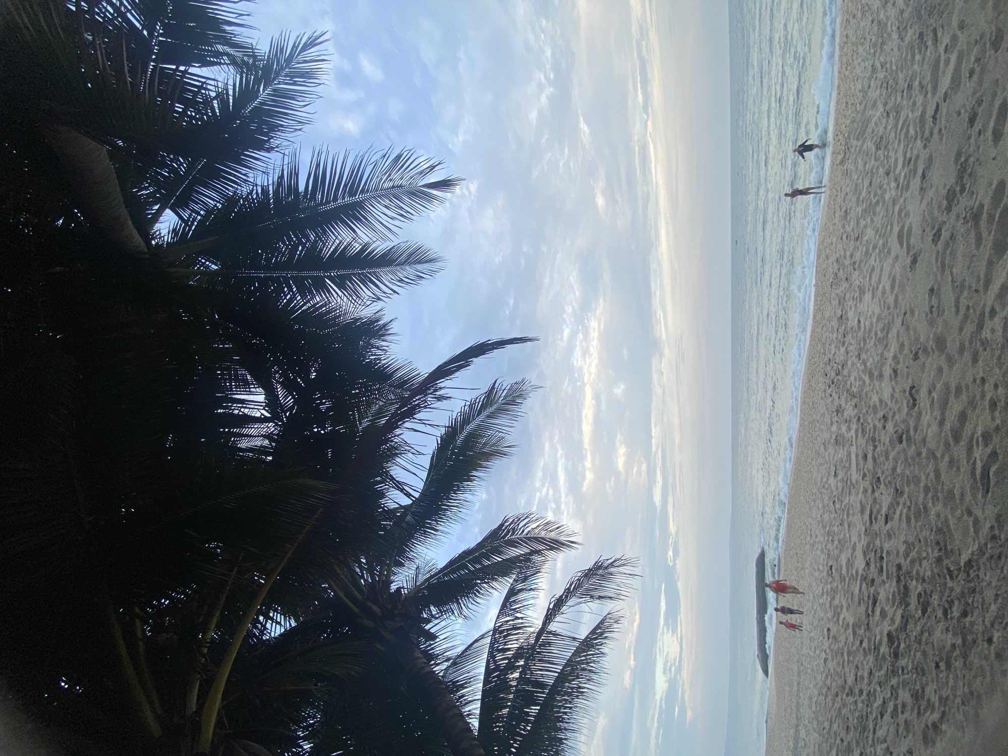 Quiet morning on Mũi Né beach, with mulberries on the side