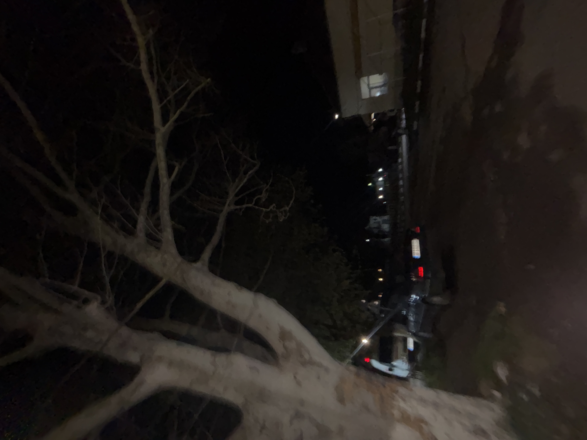 Person with phone observed in nighttime Lehchevo streets