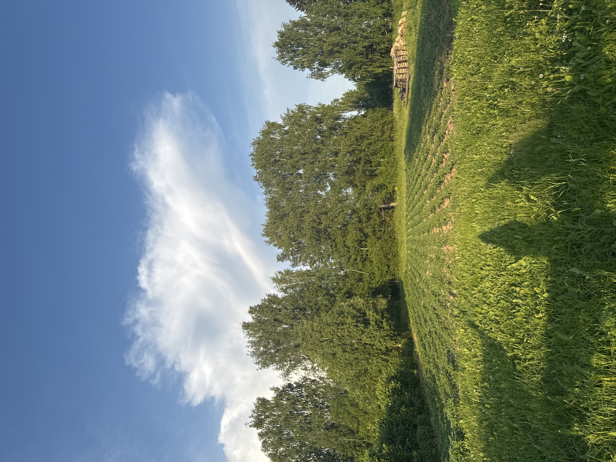 Garden photography session in rural Вассята, Russia