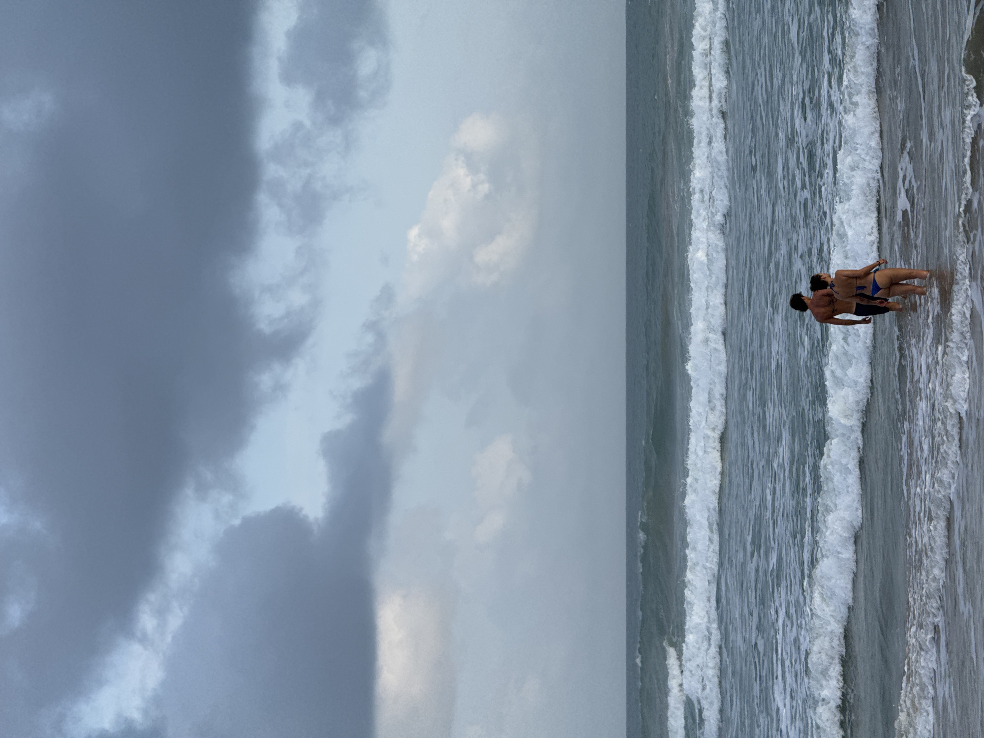Golden hour on a moody Sri Lankan beach with dogs and waves