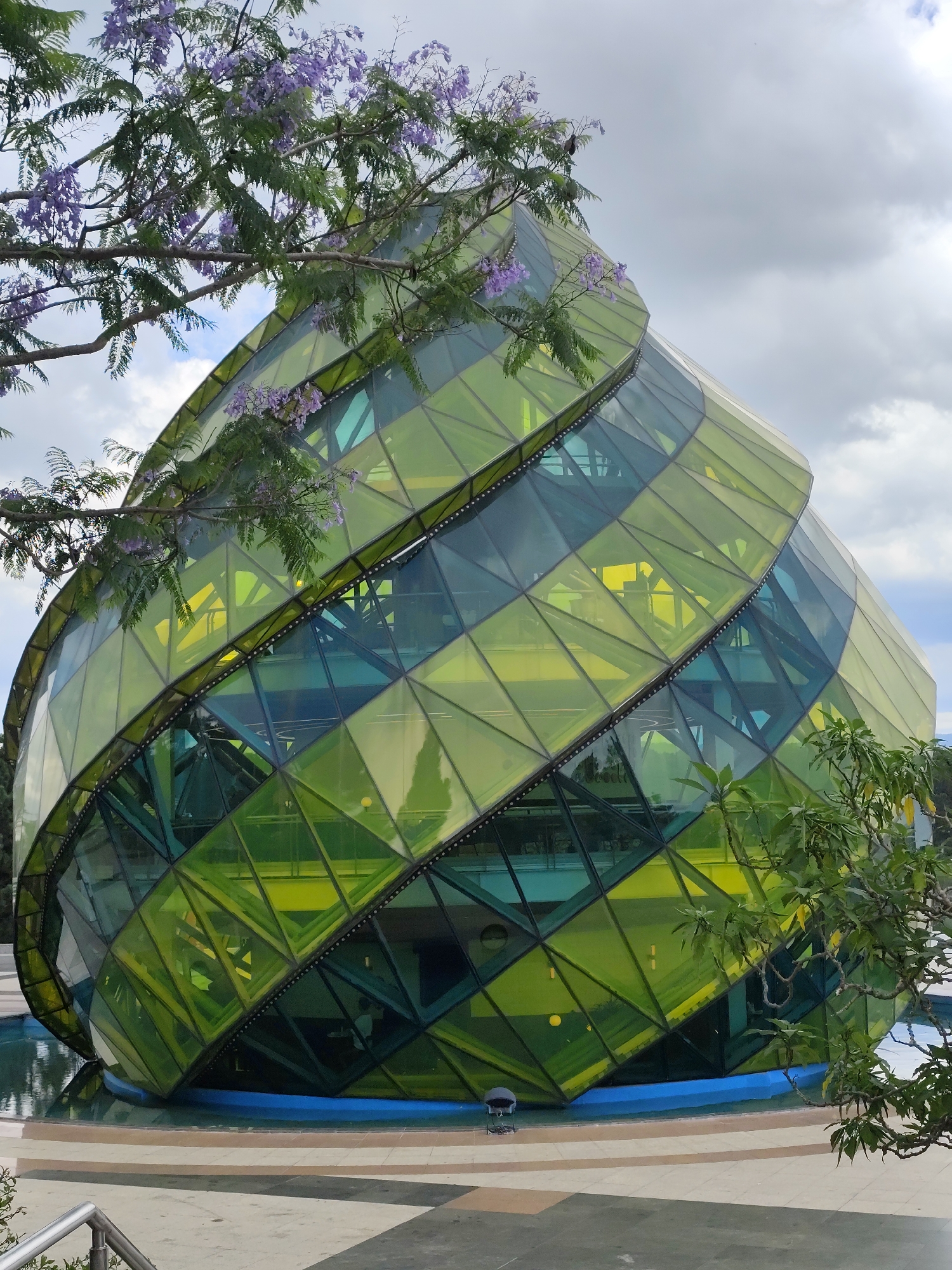 Geometric flower dome and hibiscus documented in Da Lat