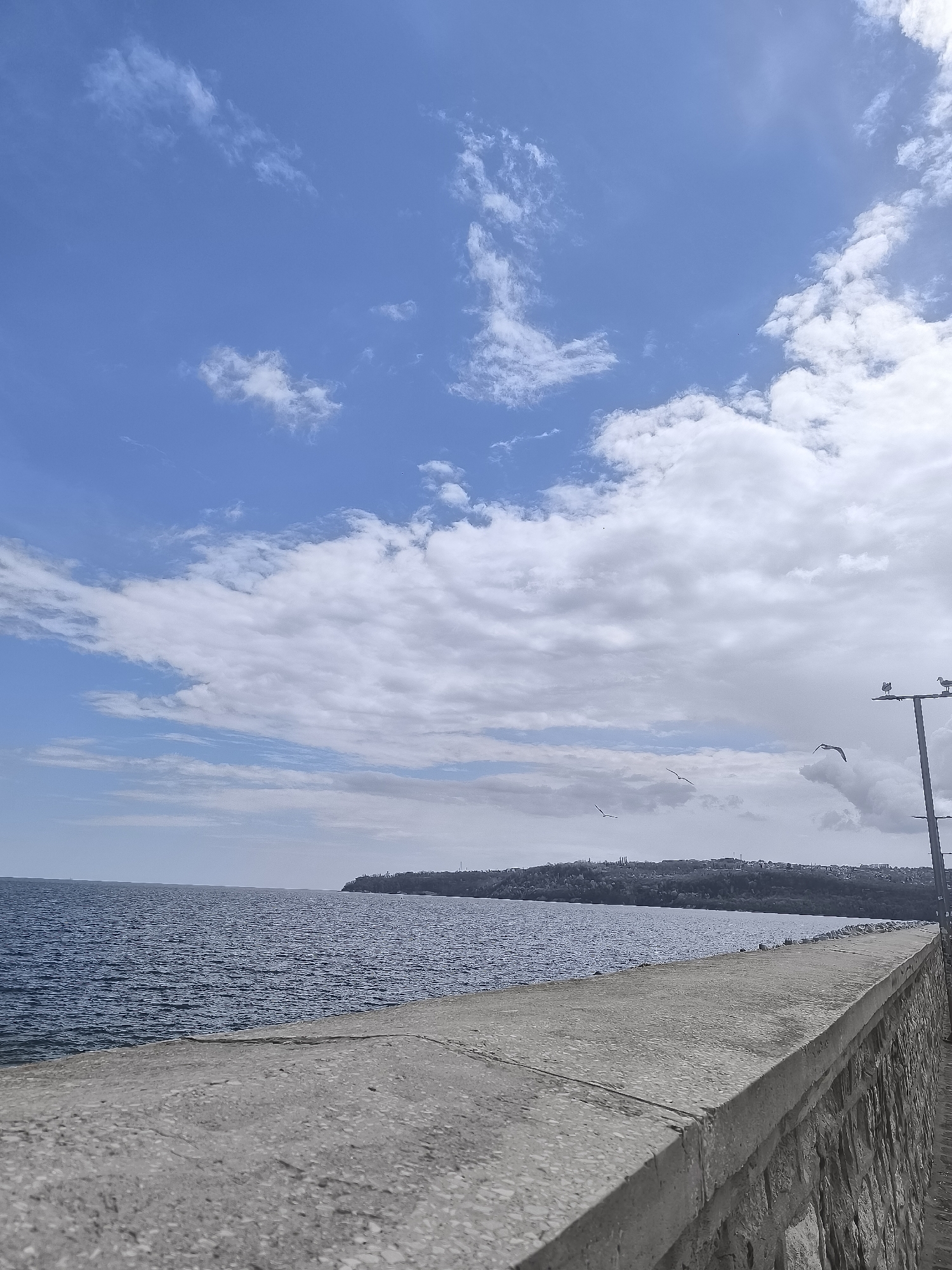 Tourist captures Varna waterfront landmarks during morning visit