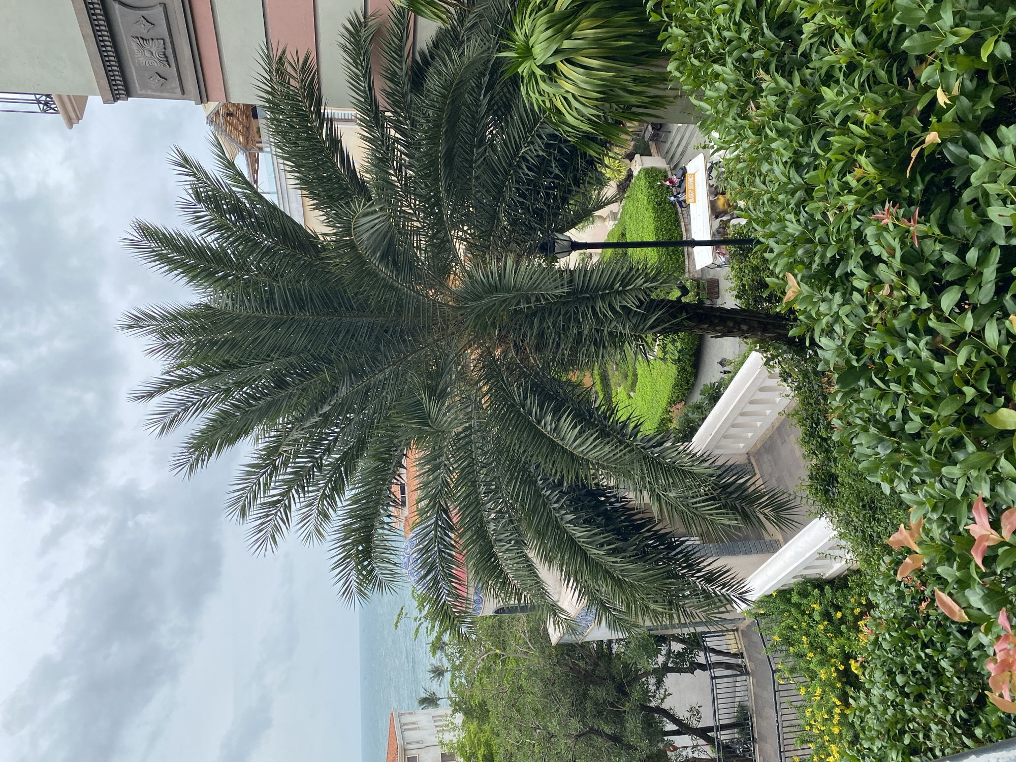 Overcast morning at a Phú Quốc resort and coastal tower