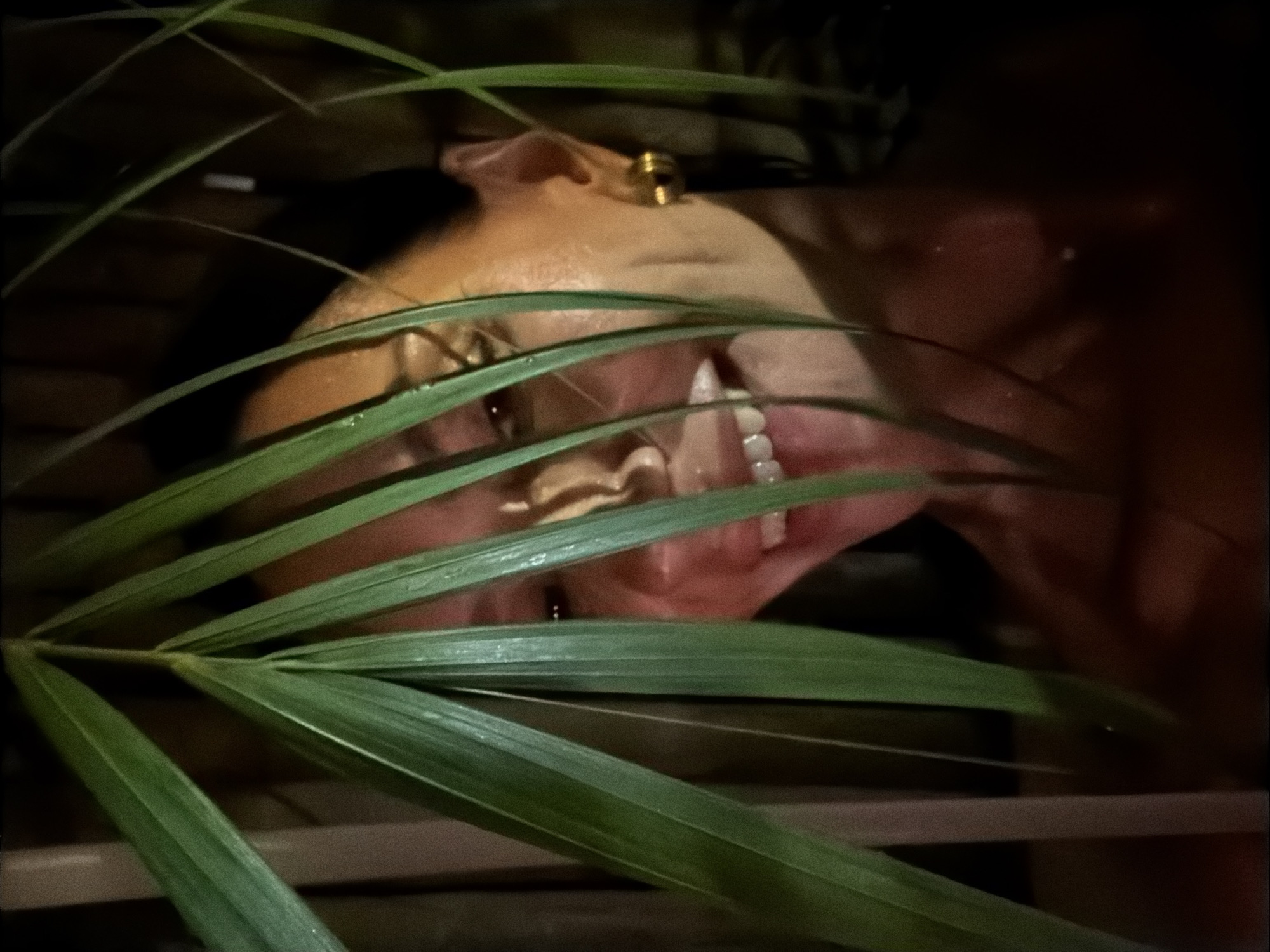 Baan Bo Phut street life: food, music, and nighttime scenes