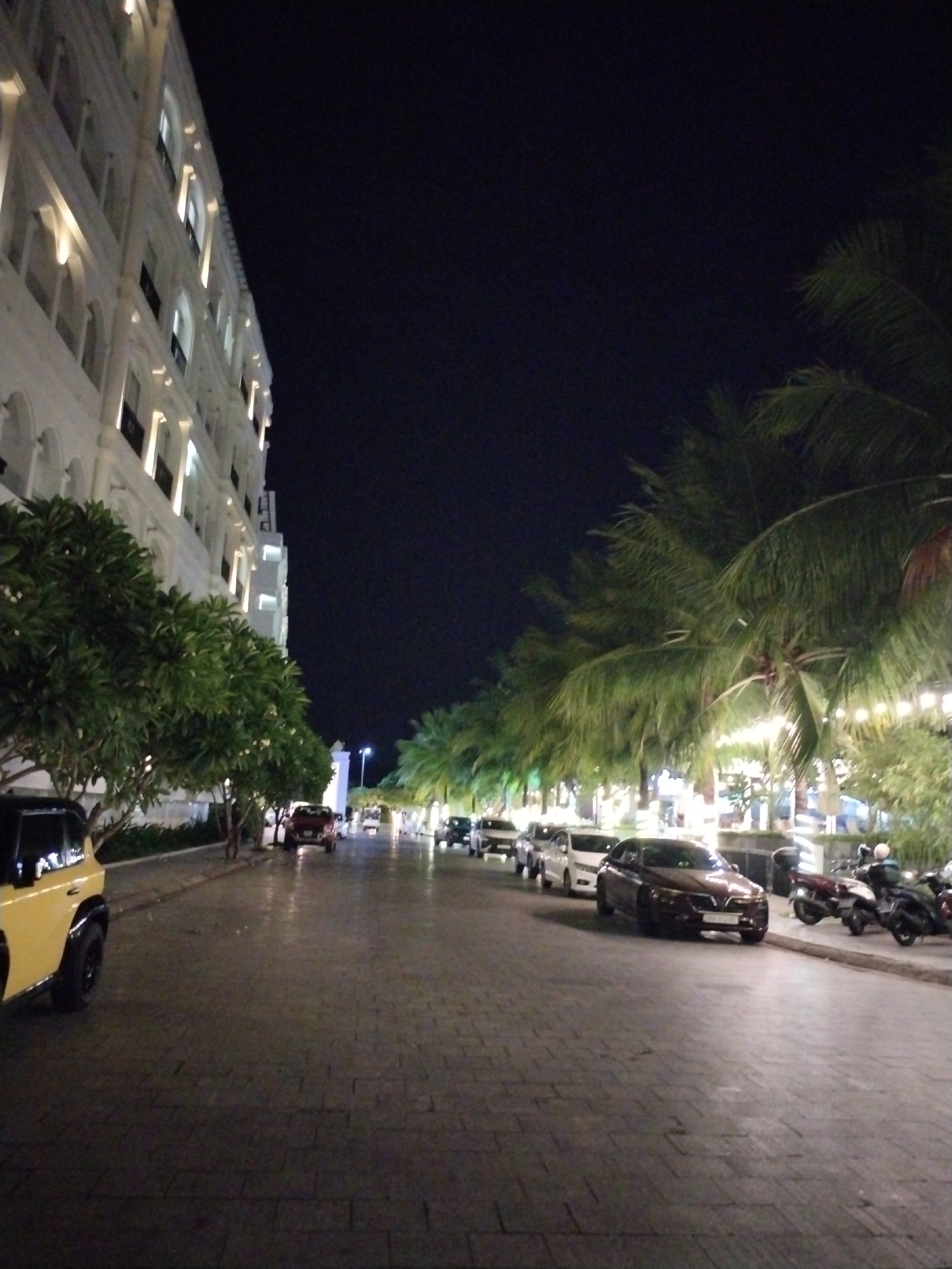 Nha Trang hotel strip at night, palm lights and courtyard details