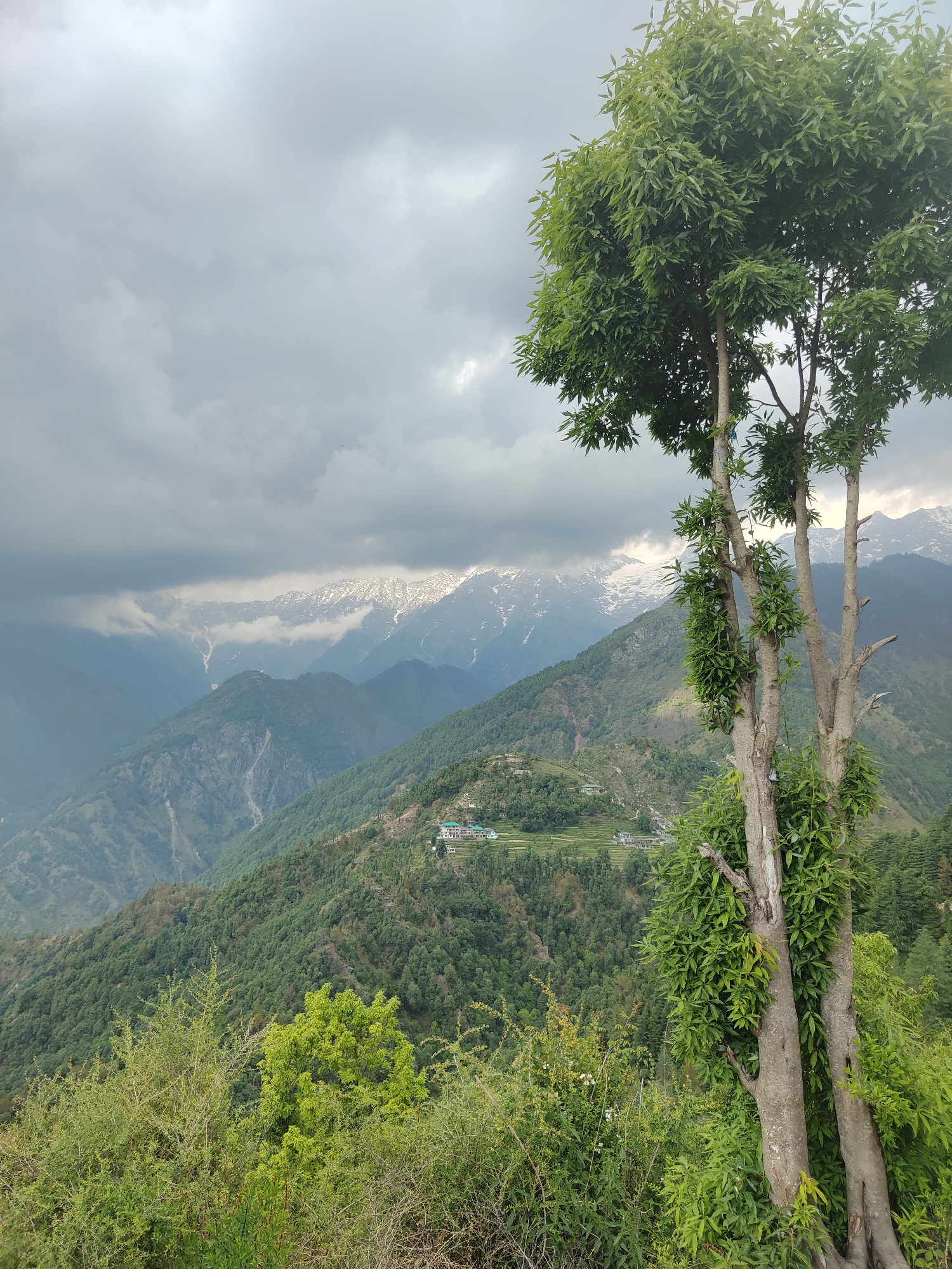 Witness documents mountain town with prayer flags, residential areas