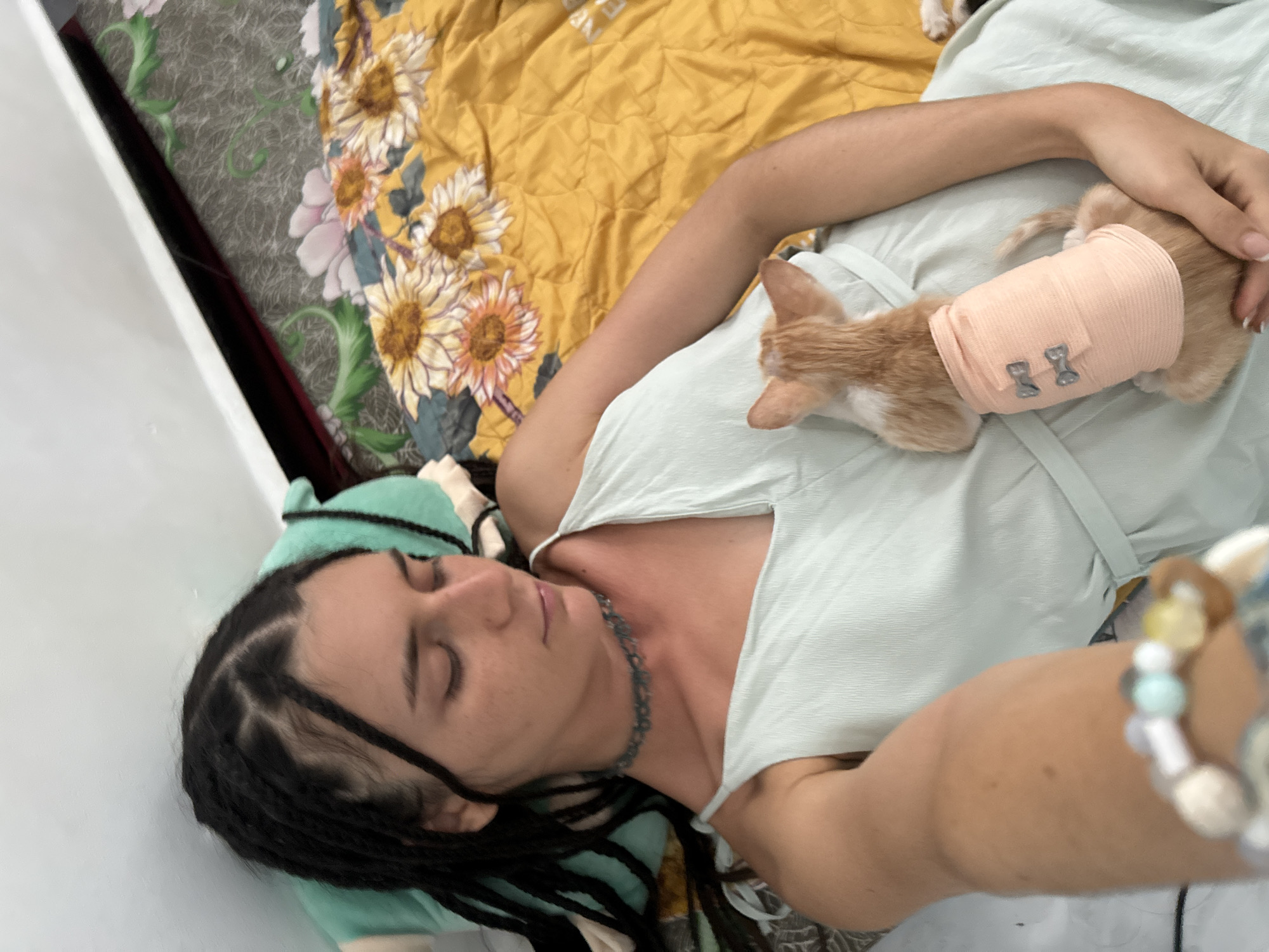 Lazy morning in Mũi Né with people, kittens, and rest
