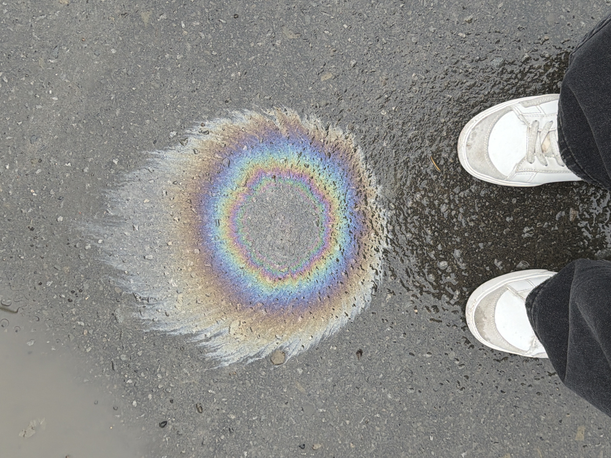 Oil slick creates rainbow patterns on wet street