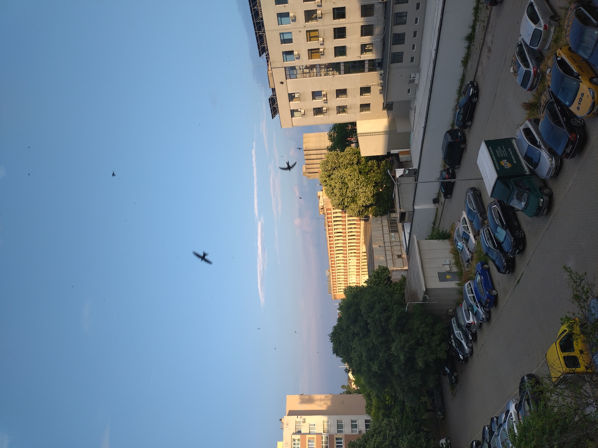 Casual urban moments documented across Stara Zagora during evening