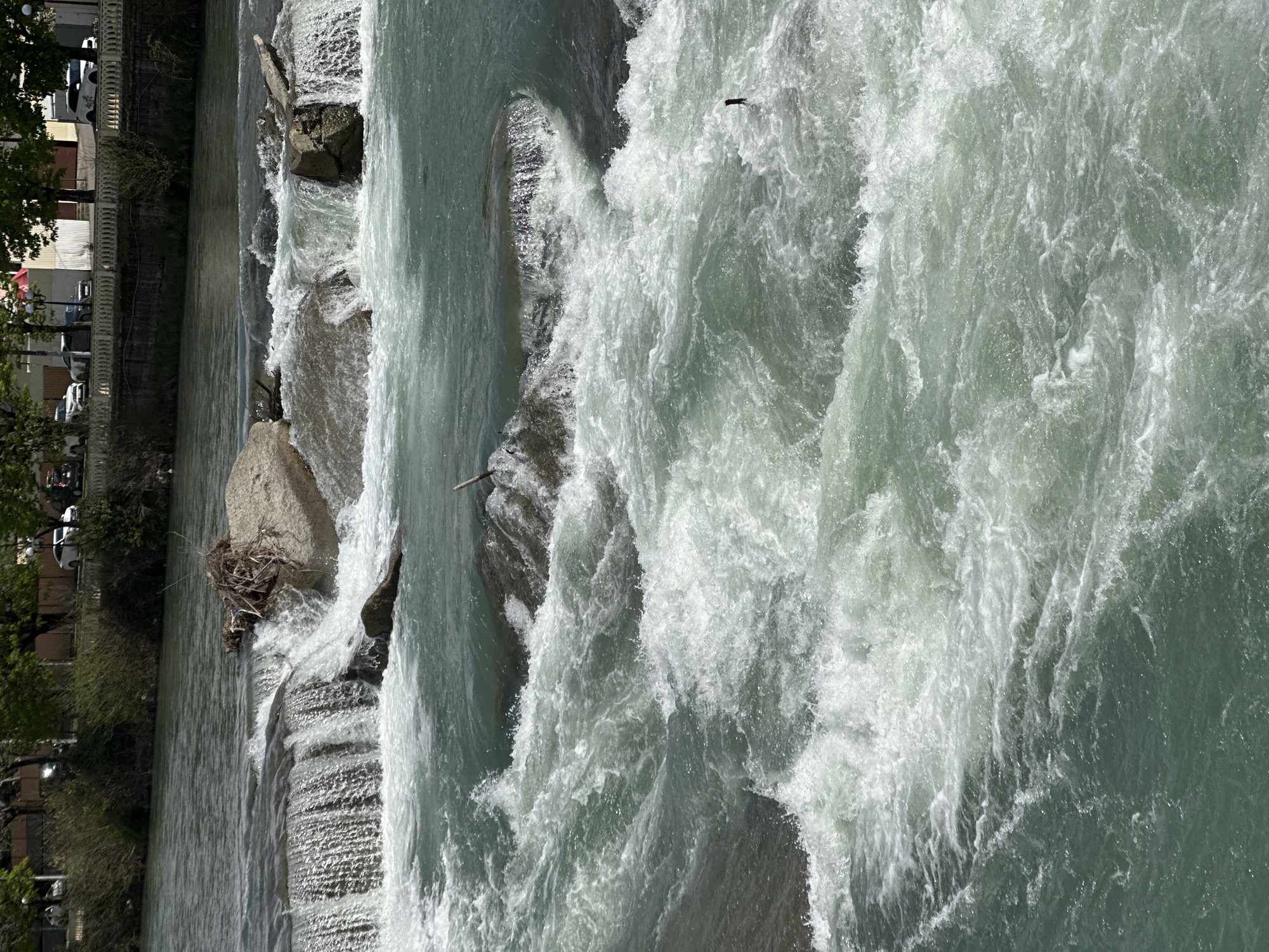 Observers document Sochi River rapids and urban infrastructure