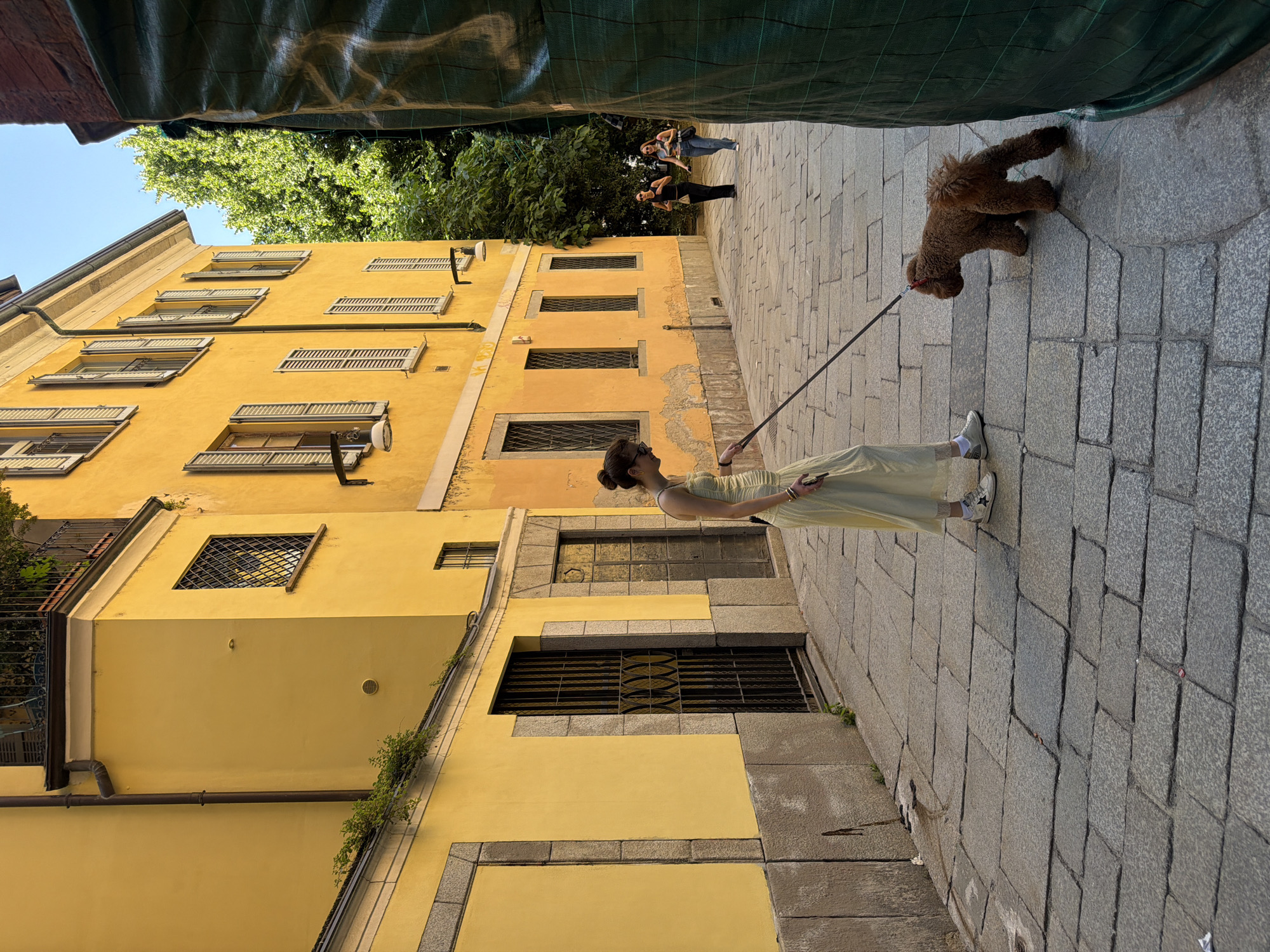 Woman walks poodle through Milan cobblestone alley