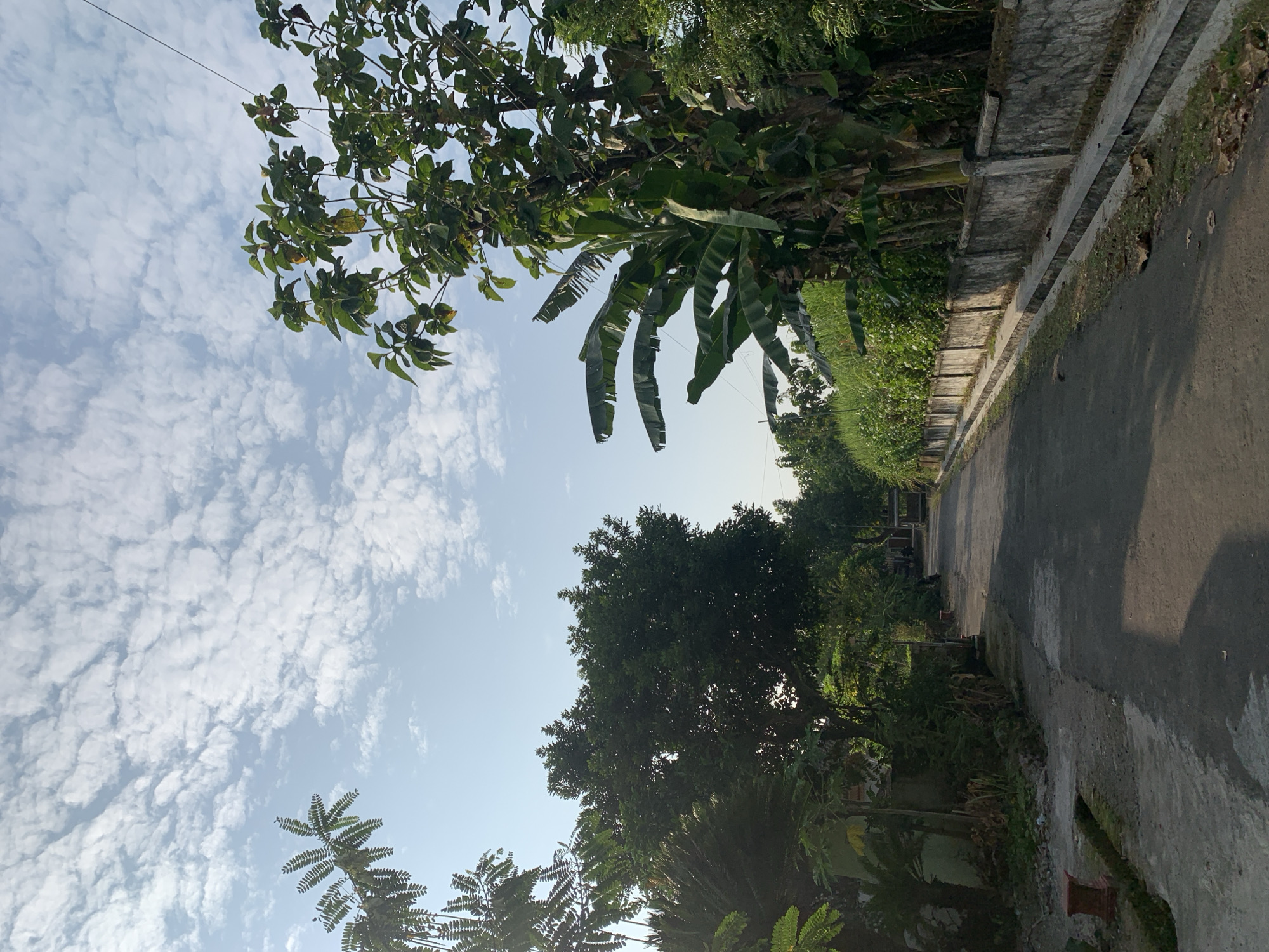 Rural scenes and quiet moments in Tanjungsepreh, Indonesia
