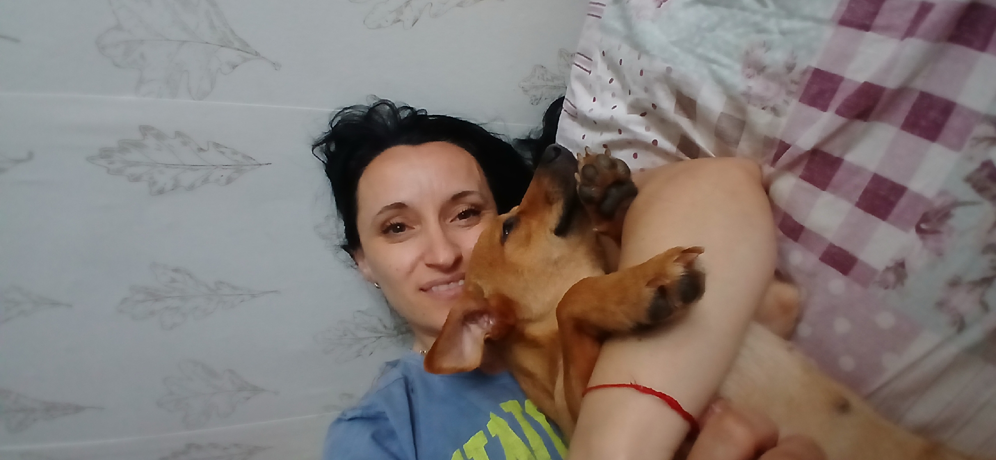 Lazy afternoon in Blagoevgrad with dogs and scattered curiosities