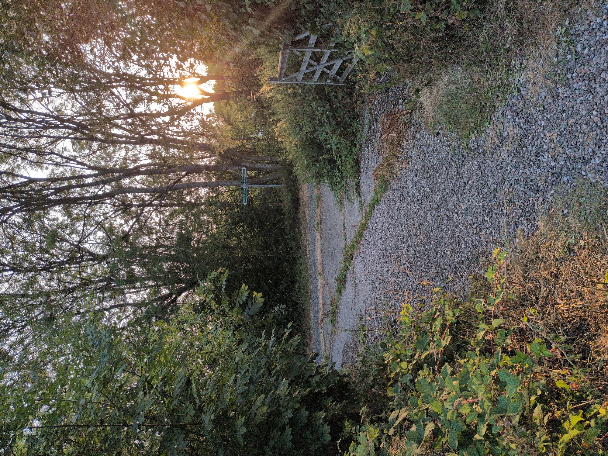 Gravel path forks at a sun-drenched rural Dawley intersection