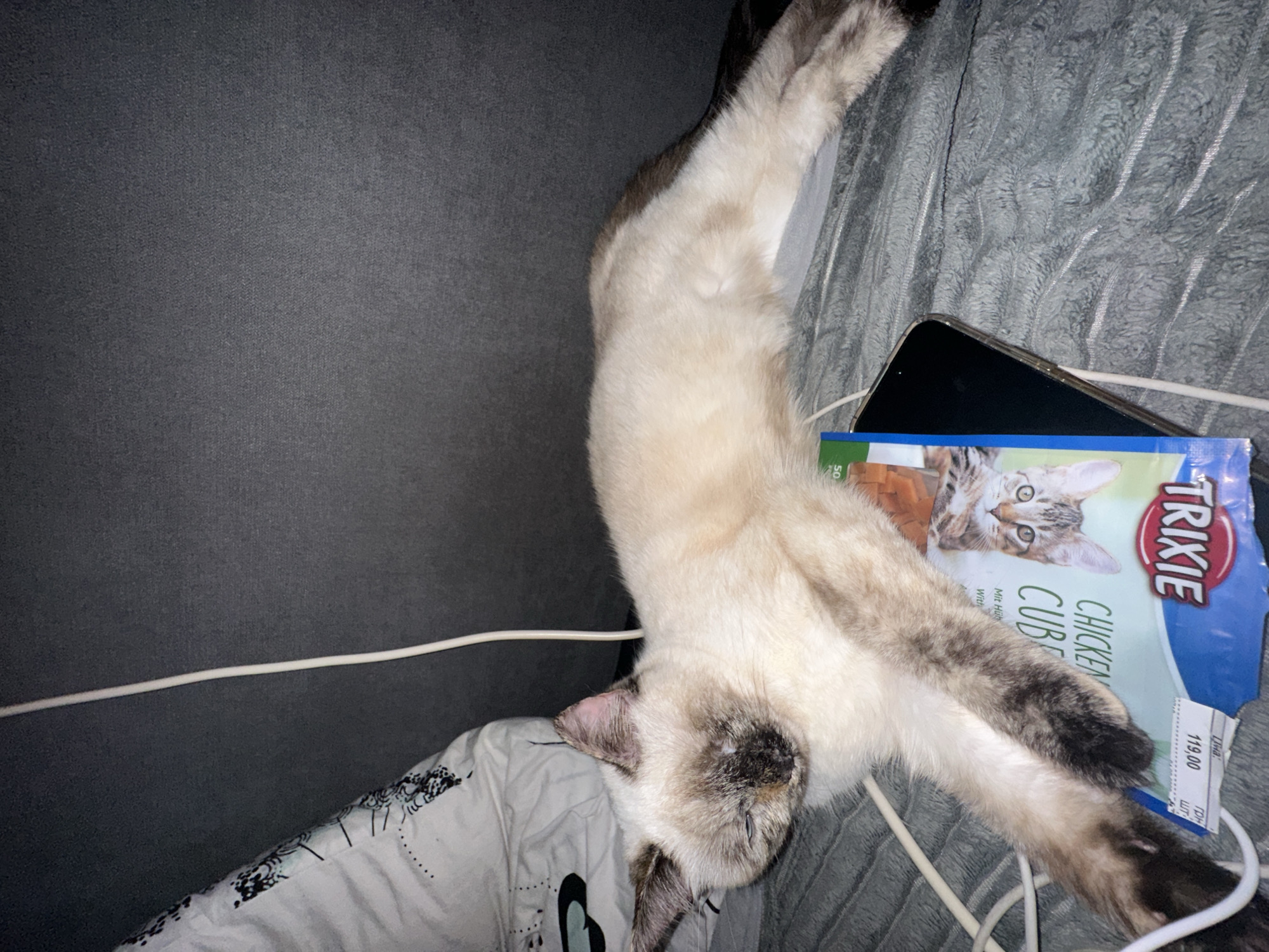 One-eyed Siamese cat rests on bedding during afternoon