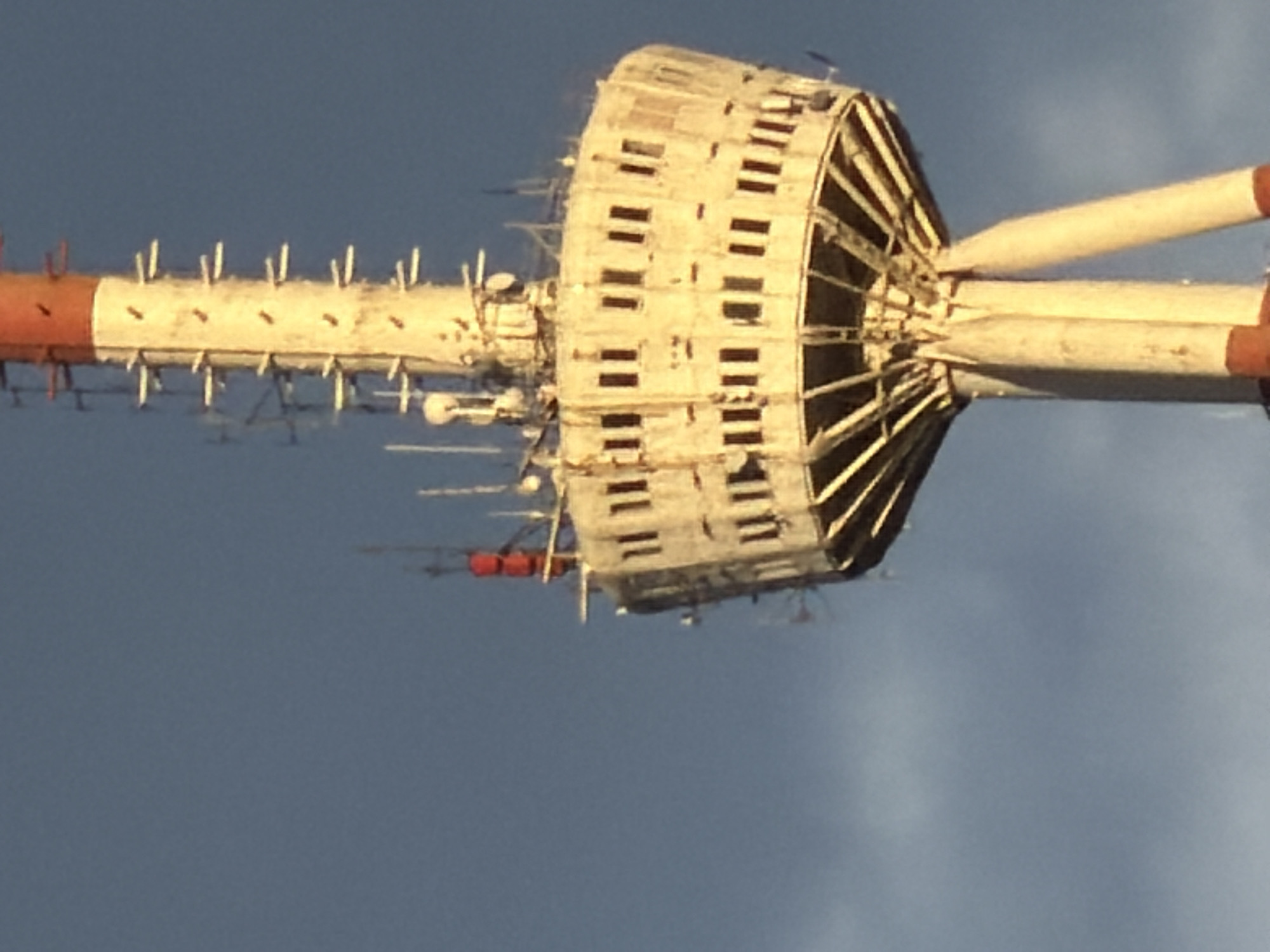 Tbilisi landmarks and golden retriever captured by witness
