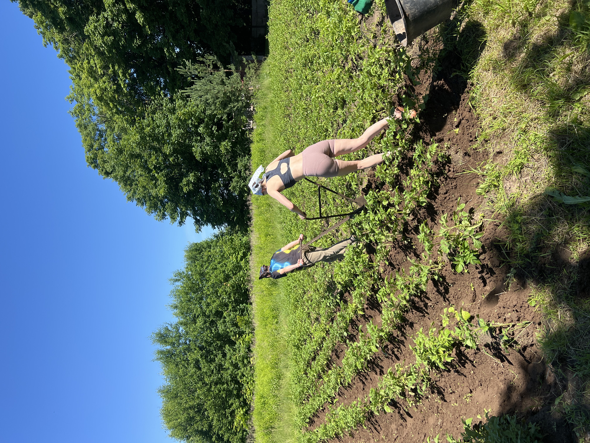 Garden work, a dog, and a toddler on a sunny day