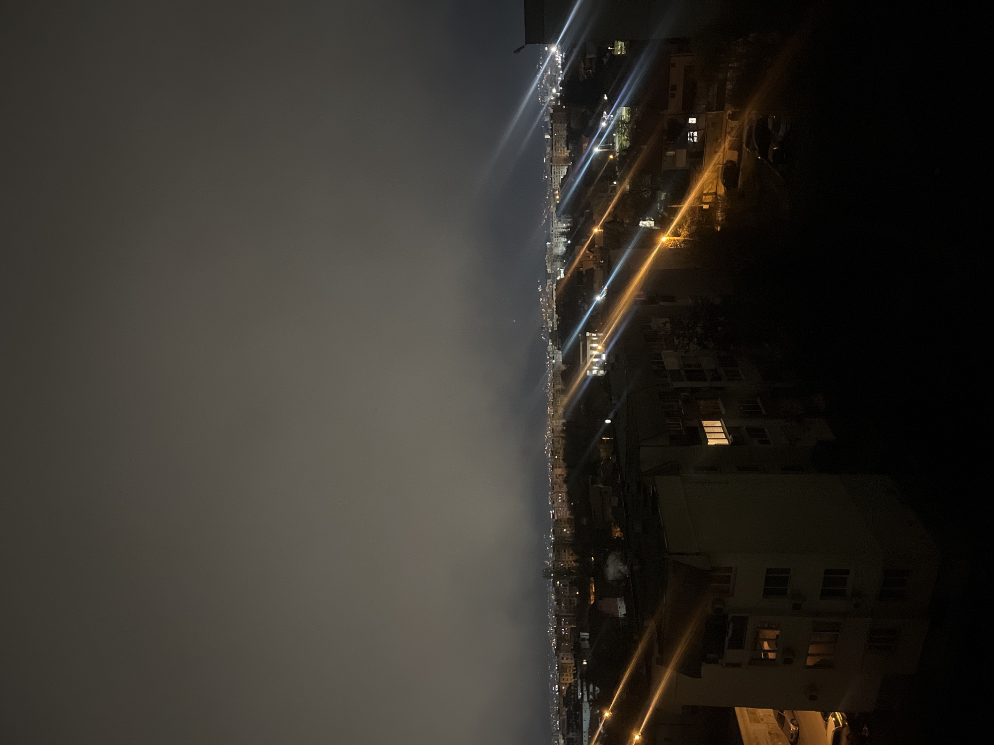 Foggy night blankets Sofia as spring blossoms glow under streetlights