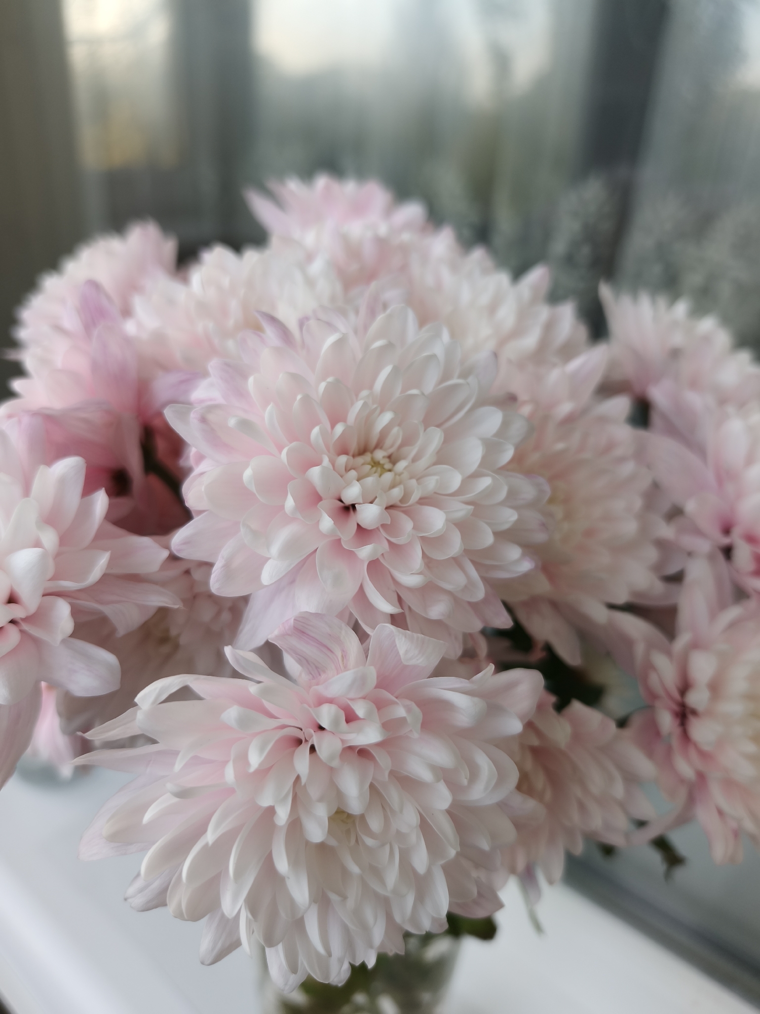 Late-night domestic moments captured in Kryvyi Rih home