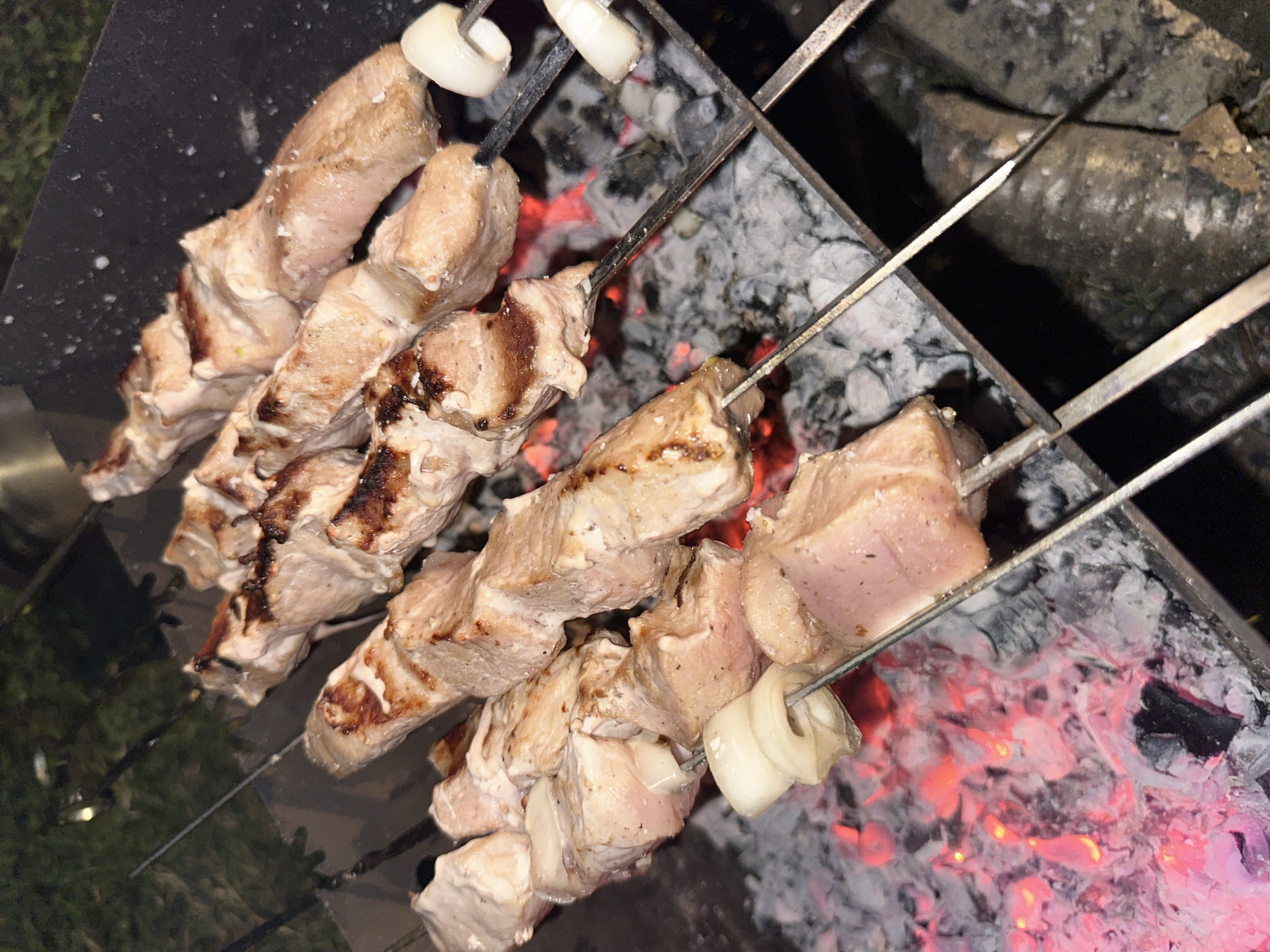 Backyard barbecue grilling observed in Biysk, Russia
