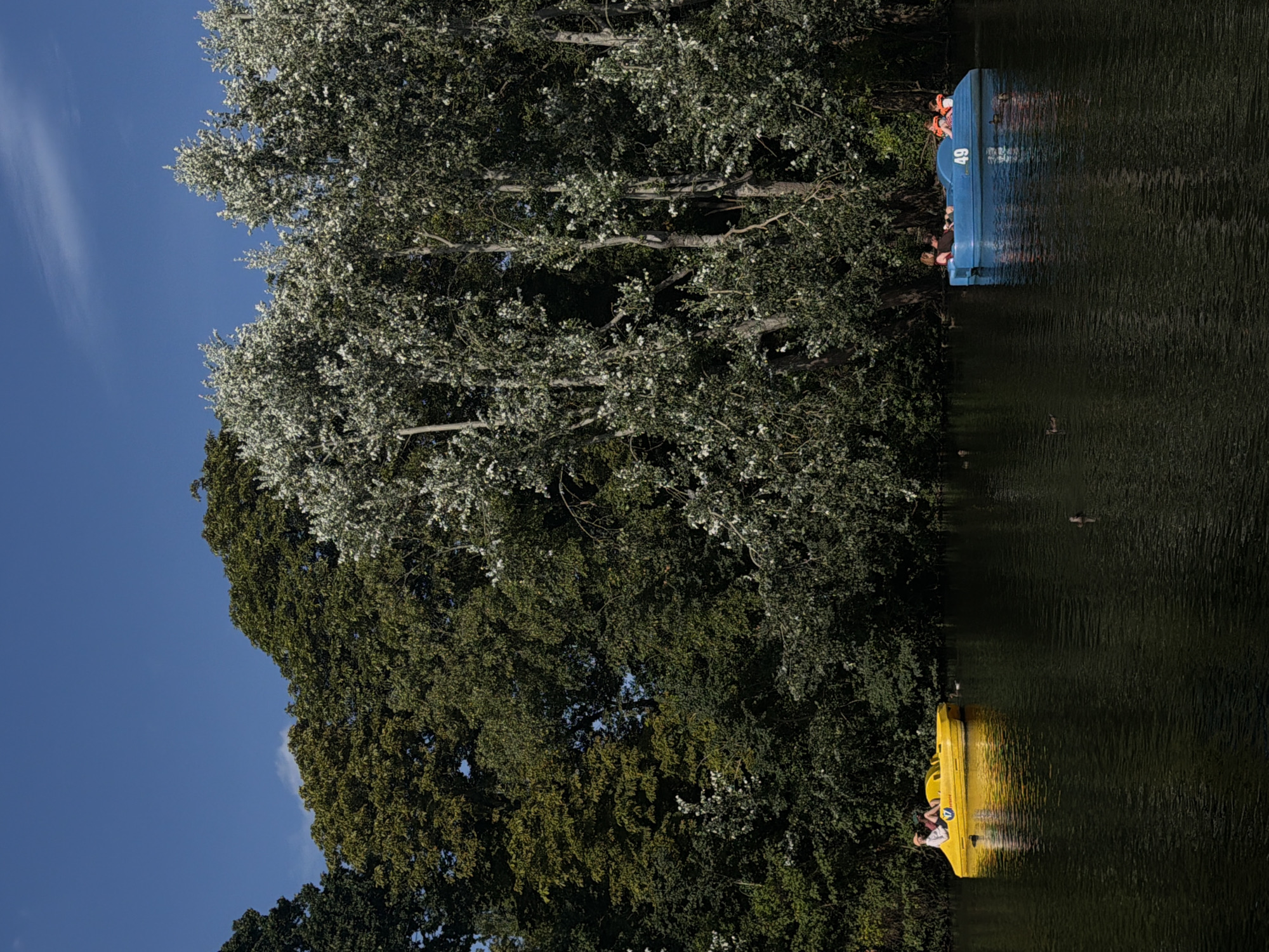Sunny afternoon at Hampstead Heath: boats, ponds, and open parkland